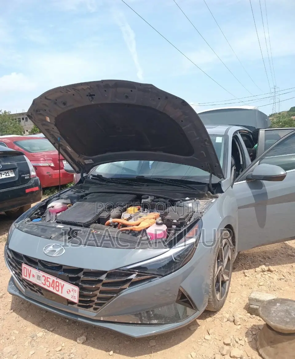 EV Vehicles Specialist