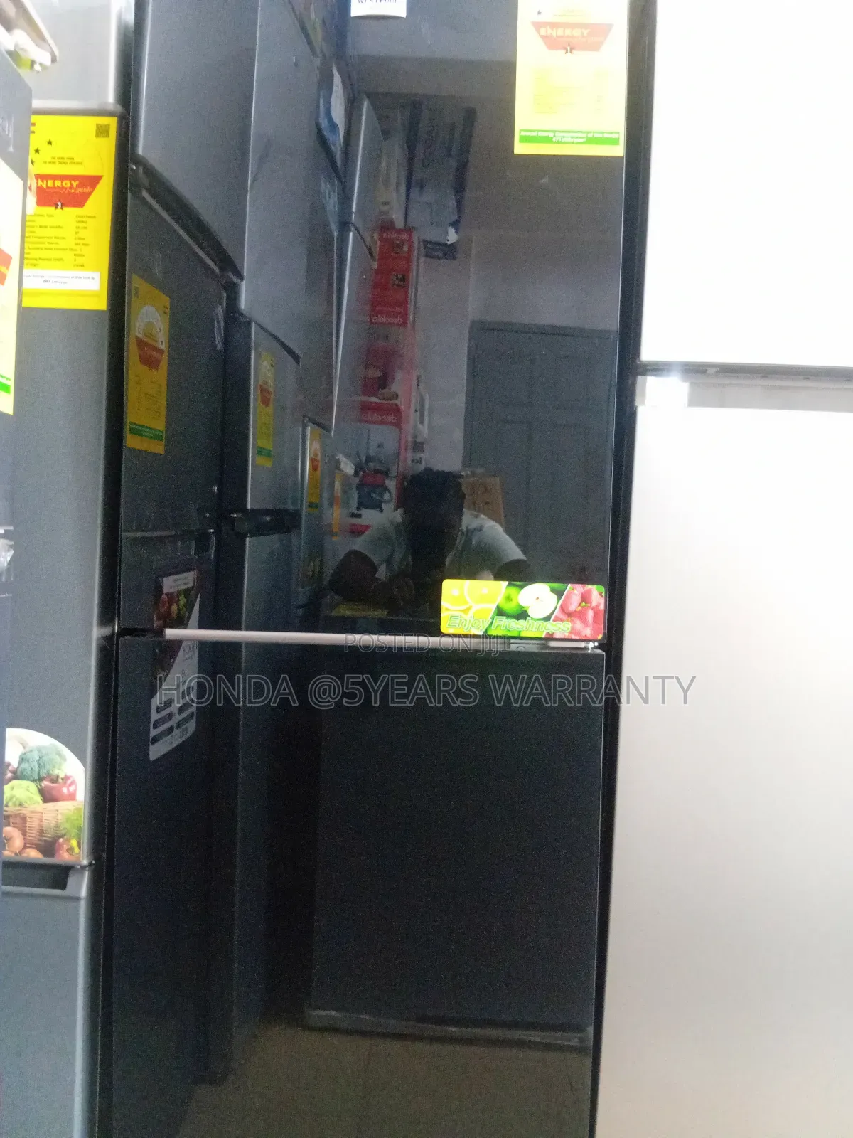 **Westpool 243l Double-Door Refrigerator
