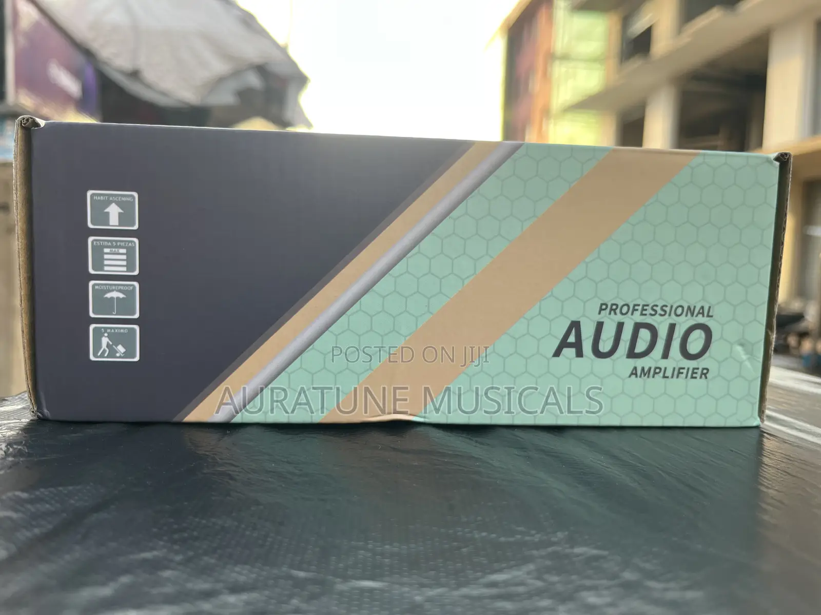 Professional Audio Amplifier