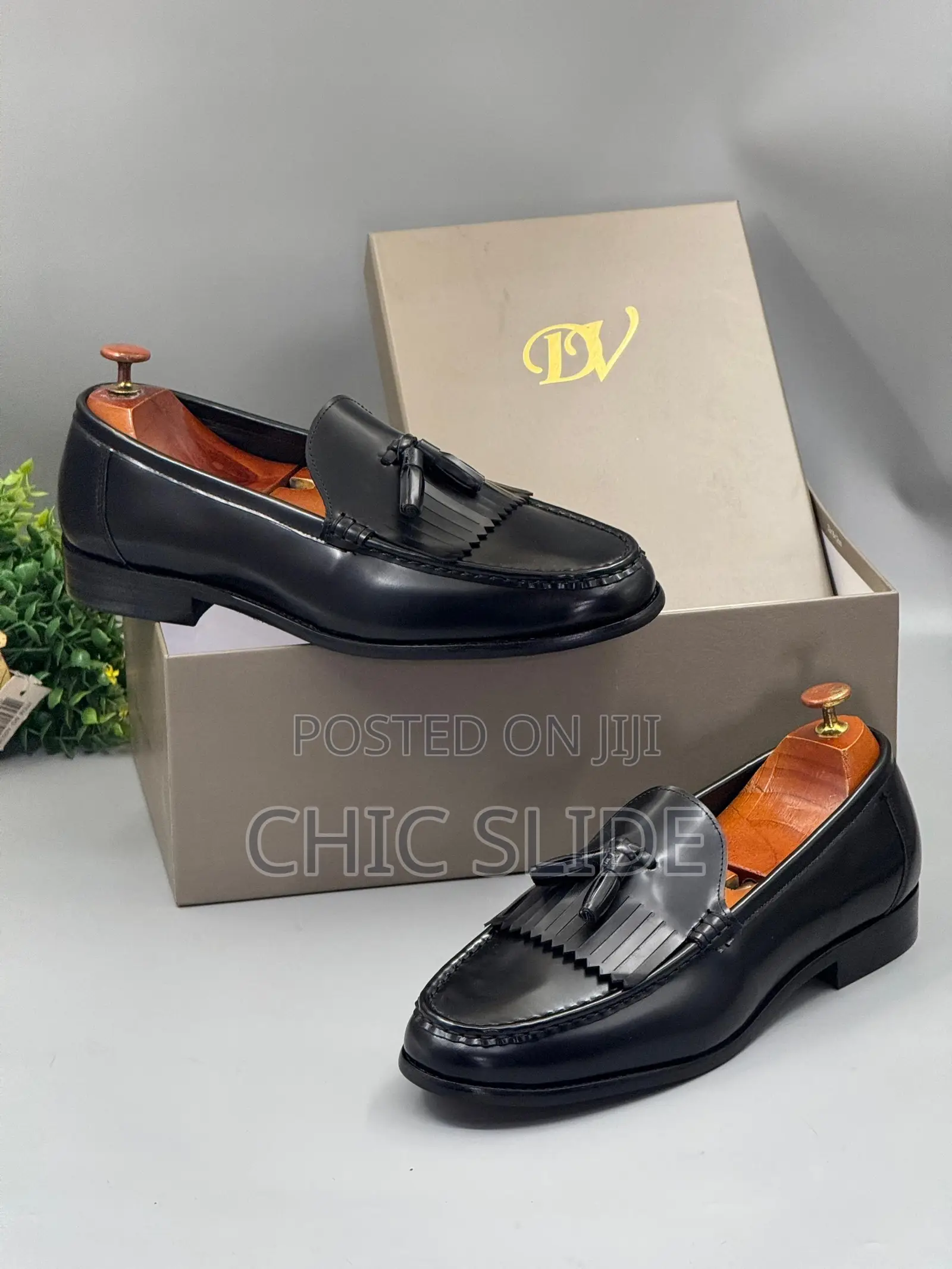 Dv Shoe Color Mix