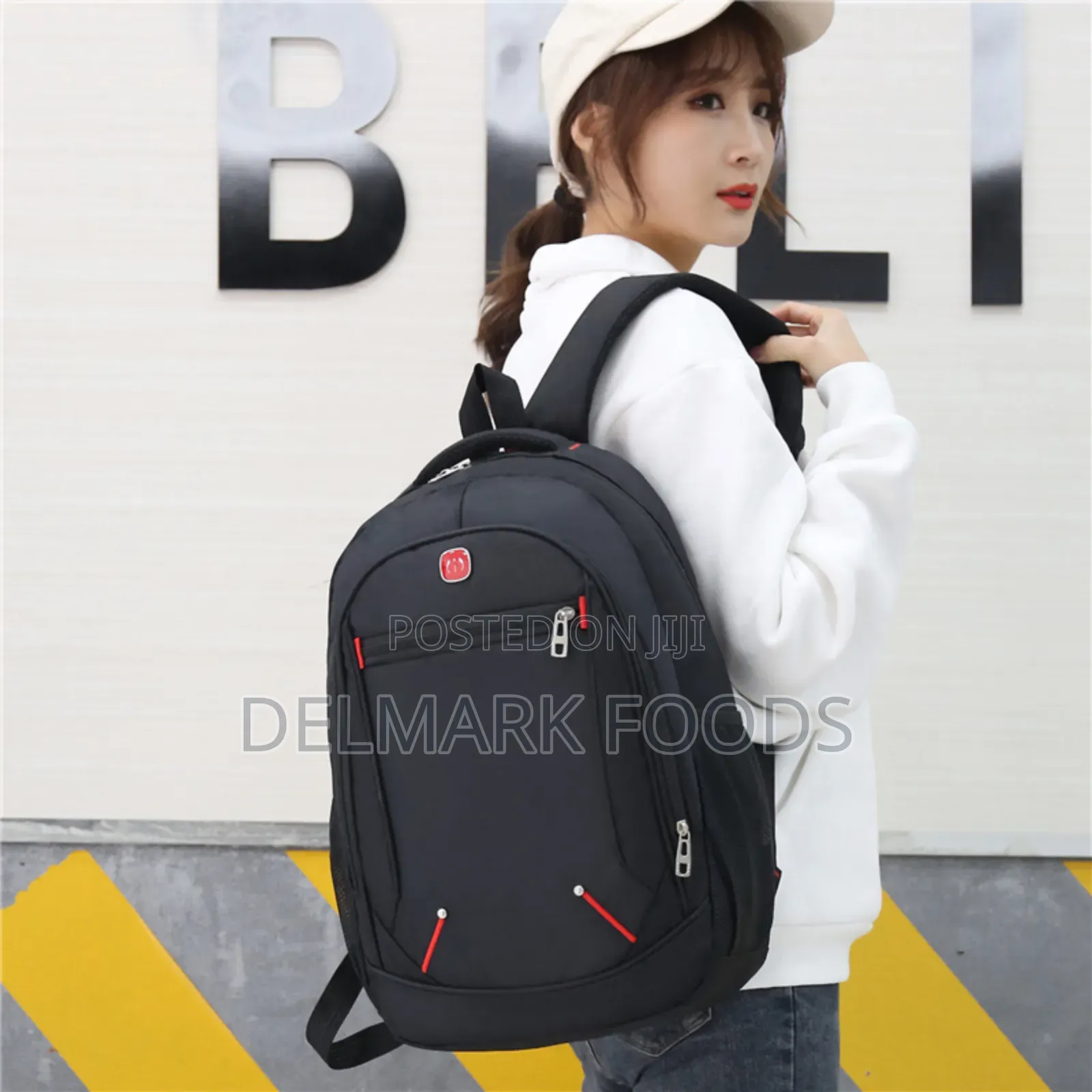Backpack for School or Travels