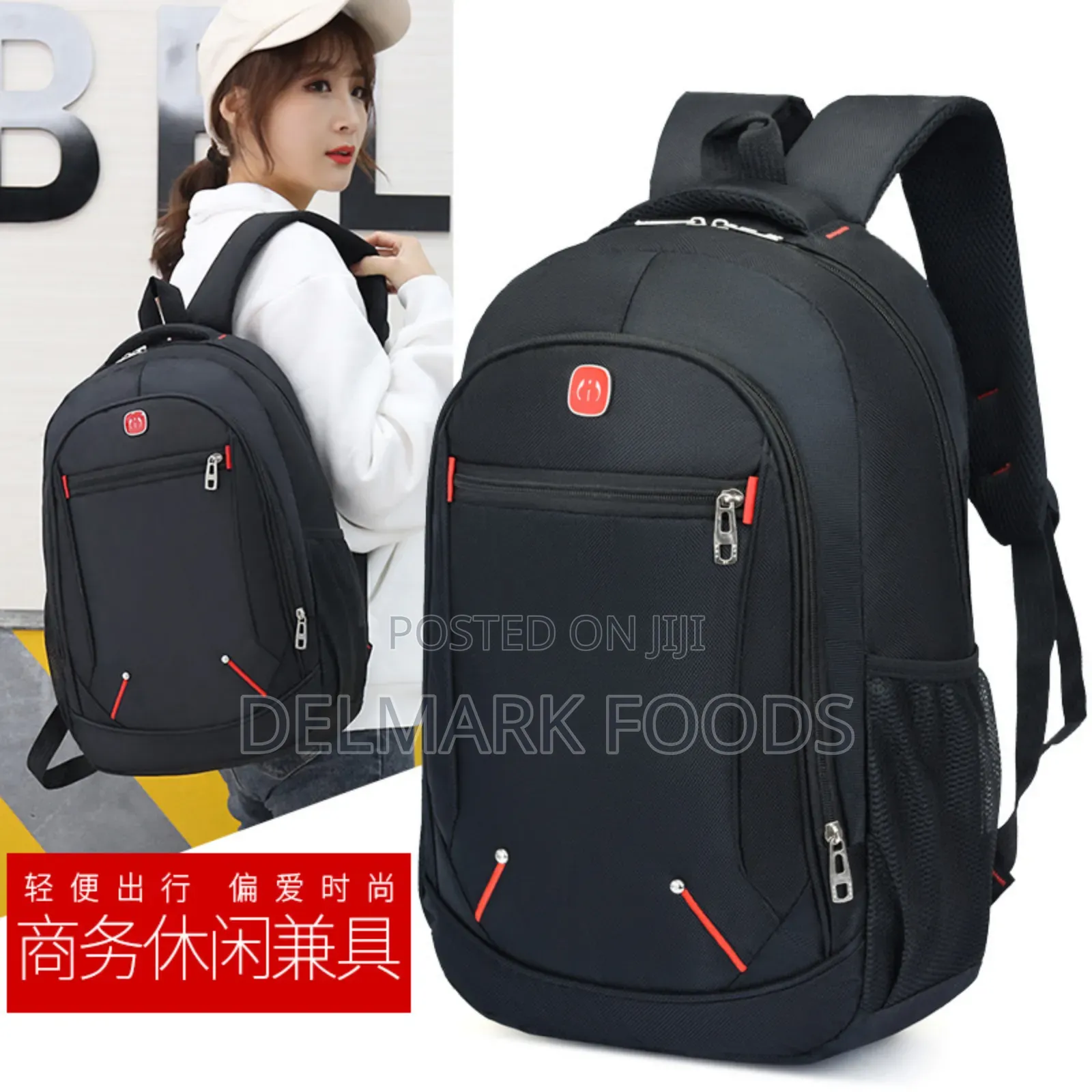 Backpack for School or Travels