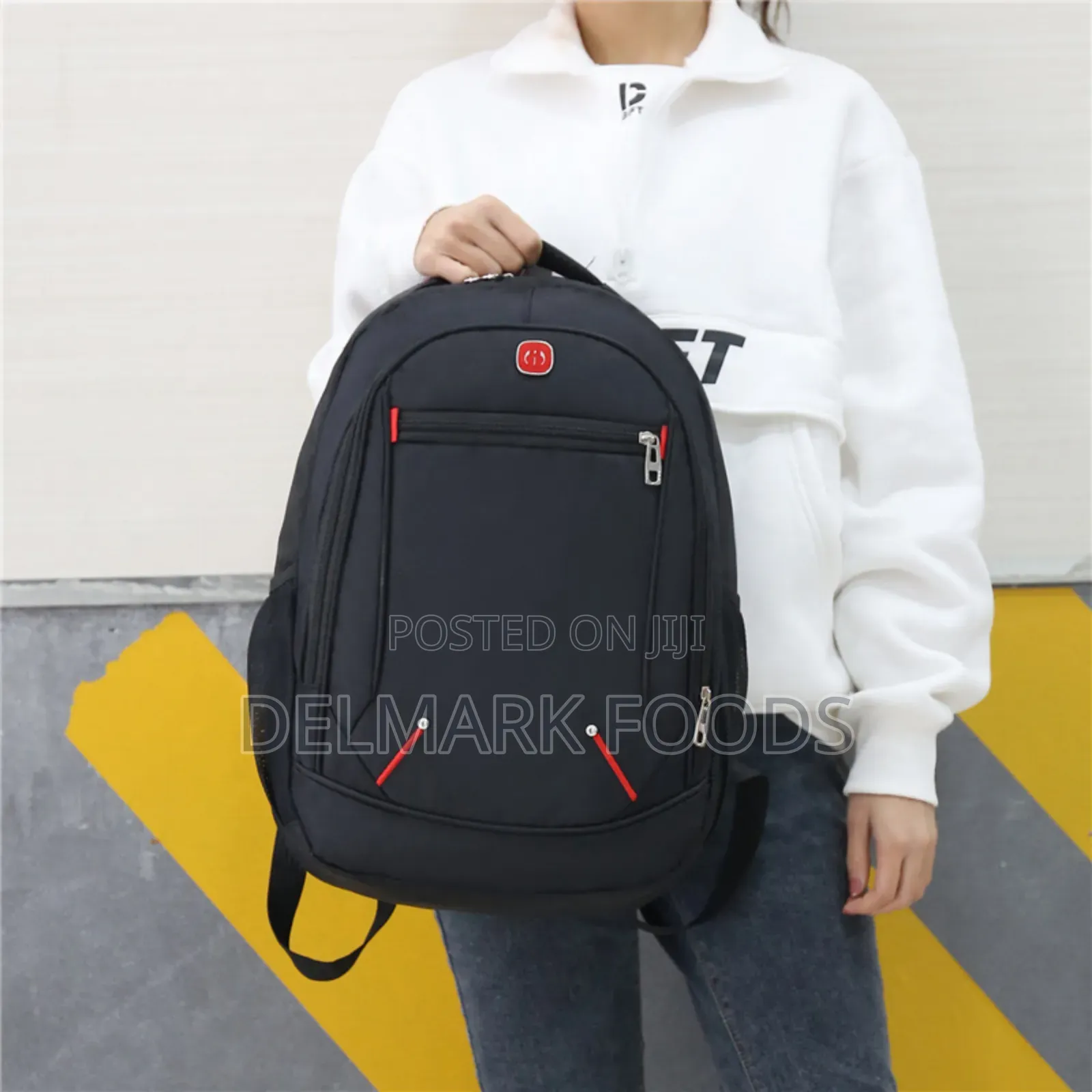 Backpack for School or Travels