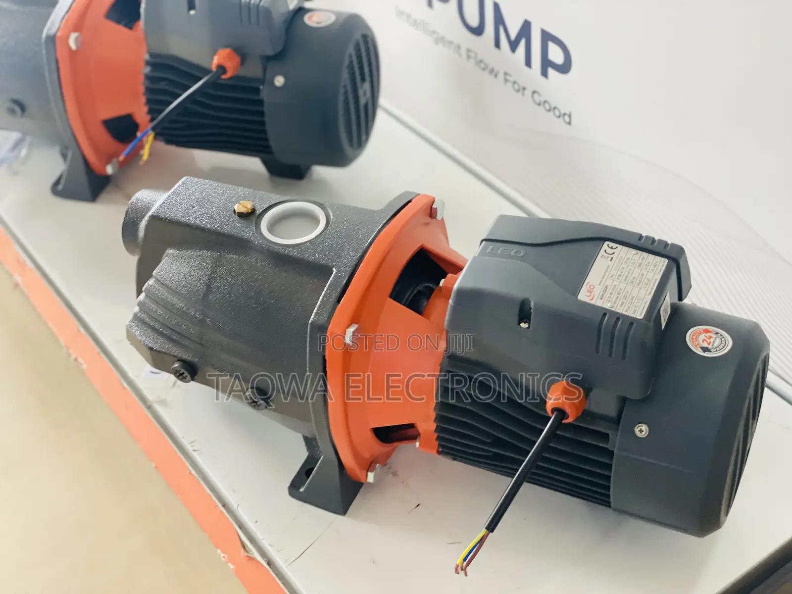 Eloquent Leo 3hp Cast Water Pump