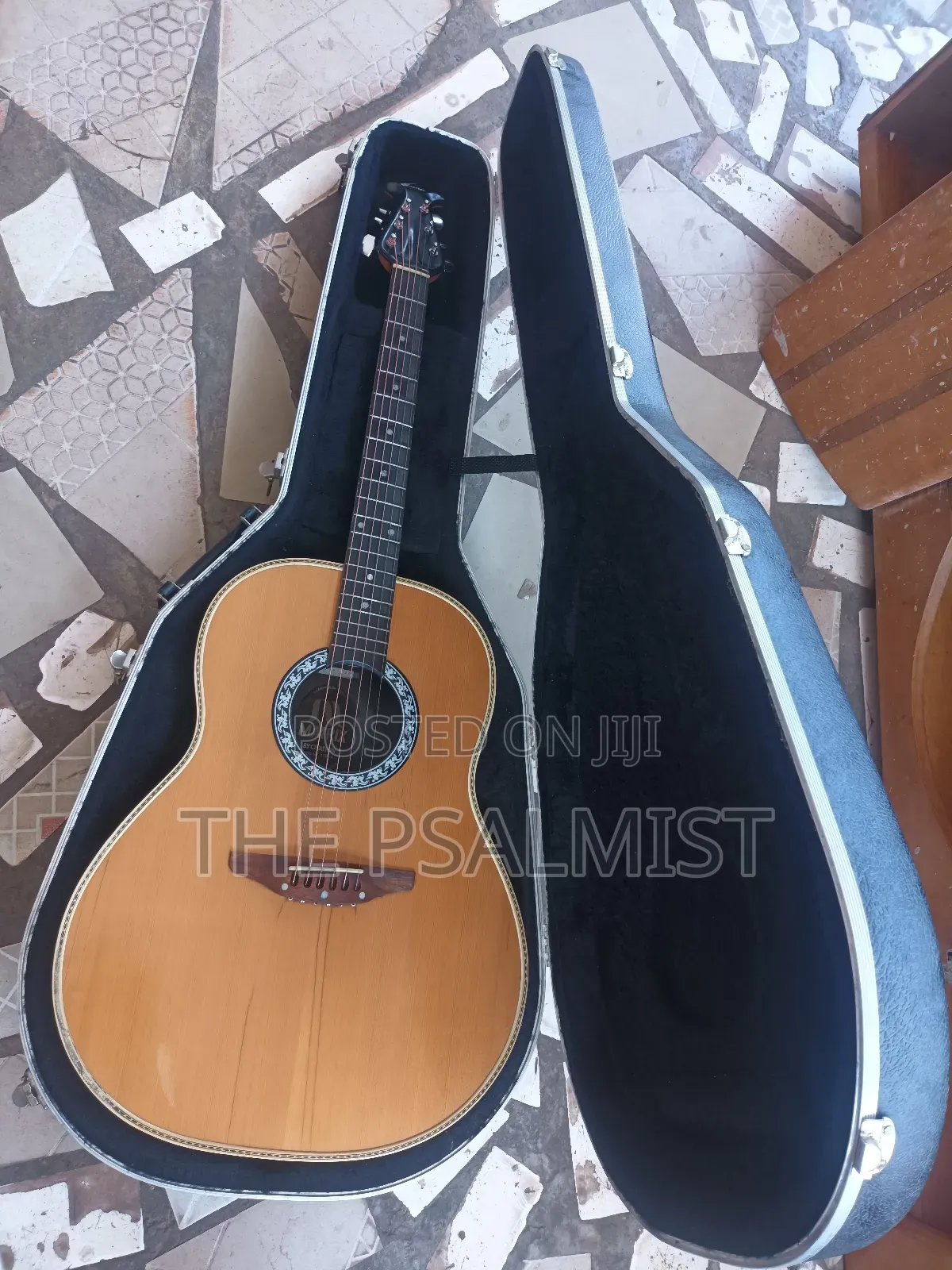 Matrix by Ovation in Solid Case With Strap New Set of Strings