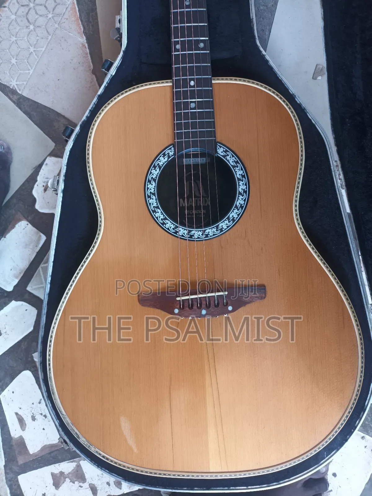 Matrix by Ovation in Solid Case With Strap New Set of Strings