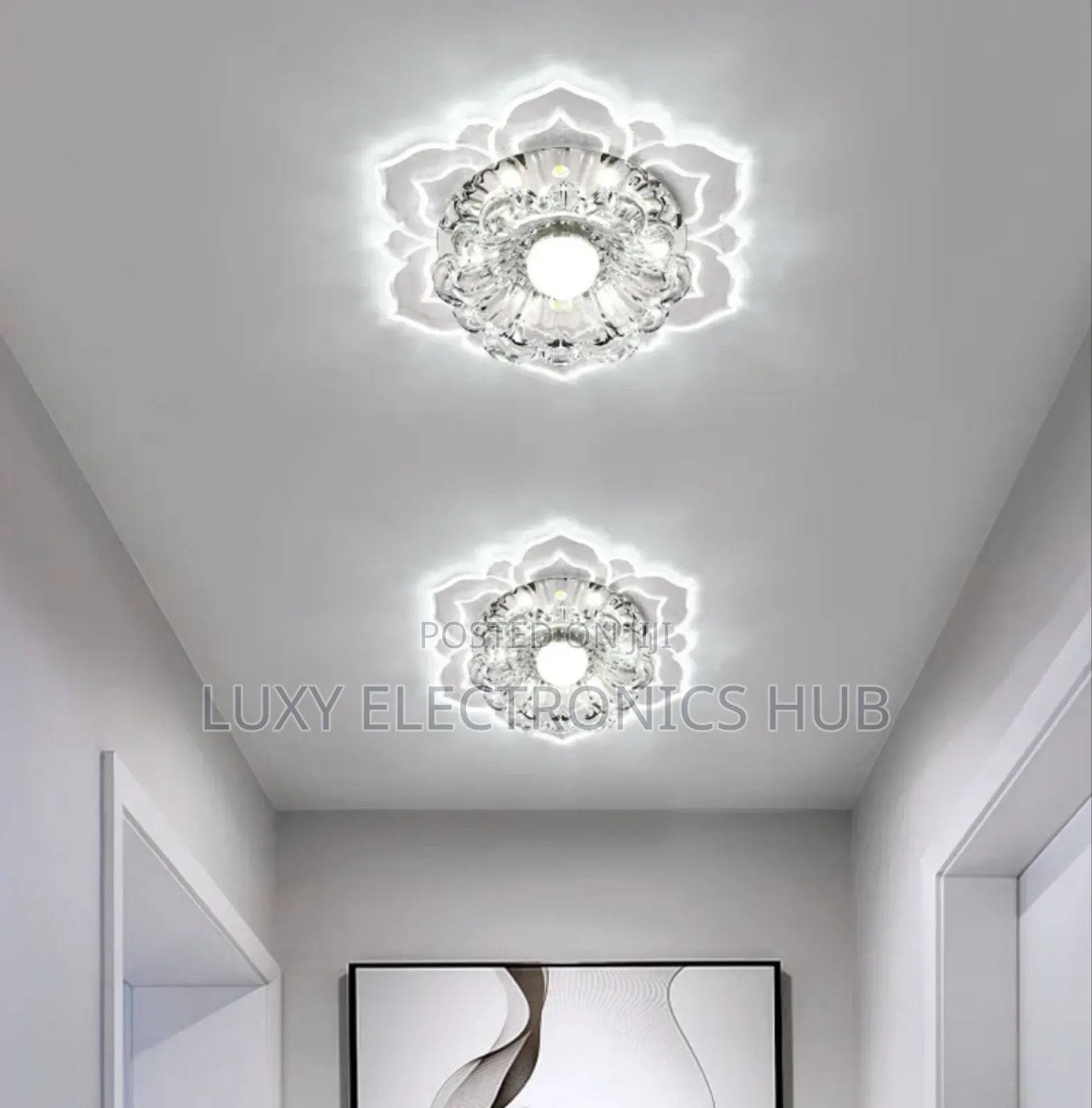 Crystal Design Ceiling Light