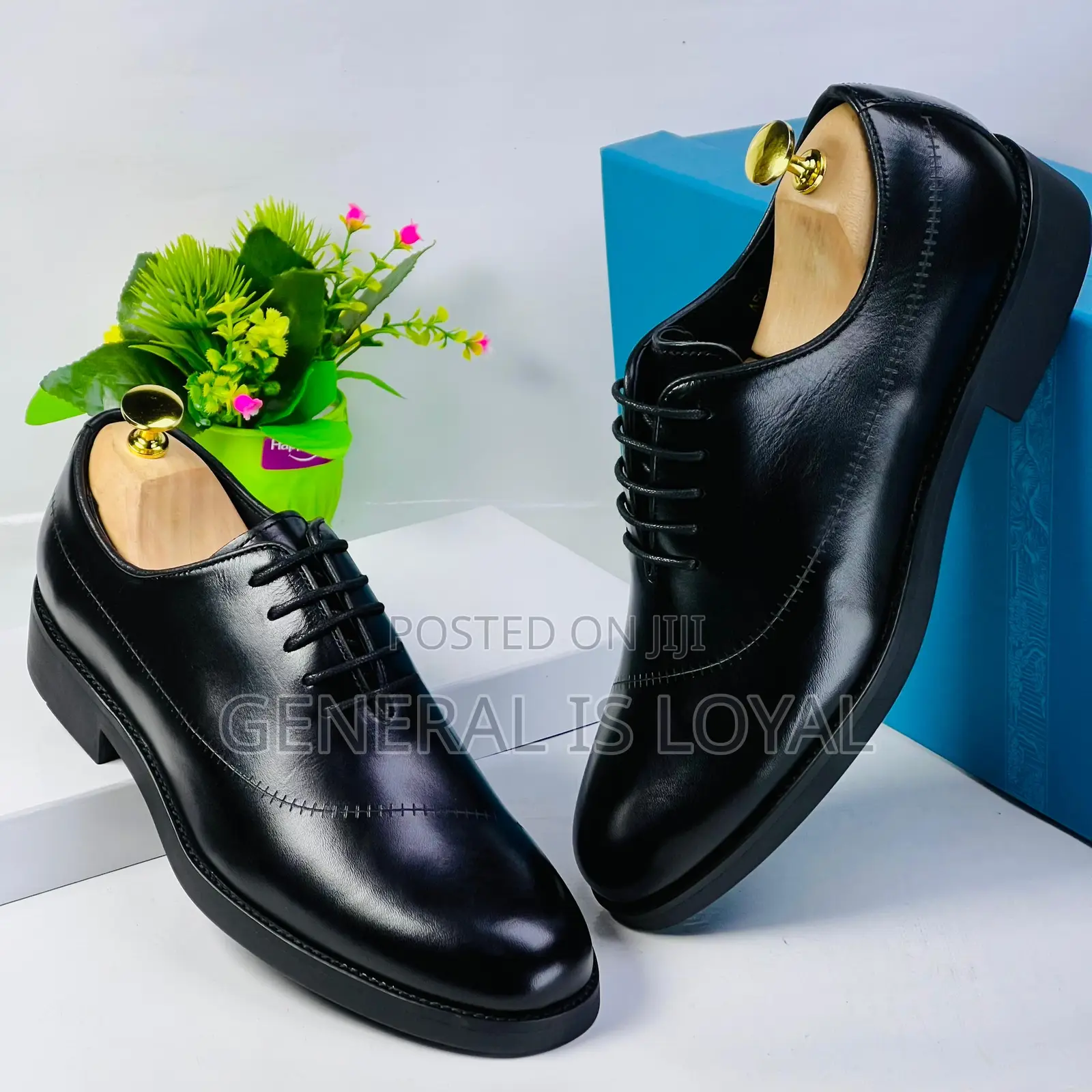 Steve Riot Executive Lace Black Shoe