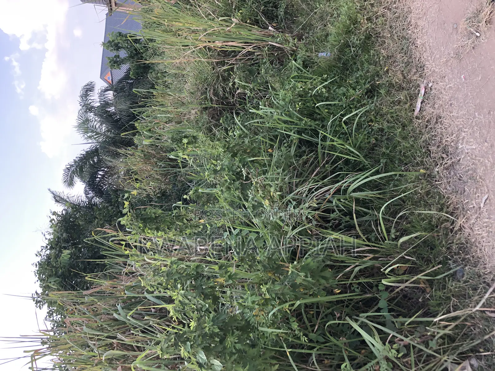 Plot of Land at Atonsu Feyiase Is on Sales