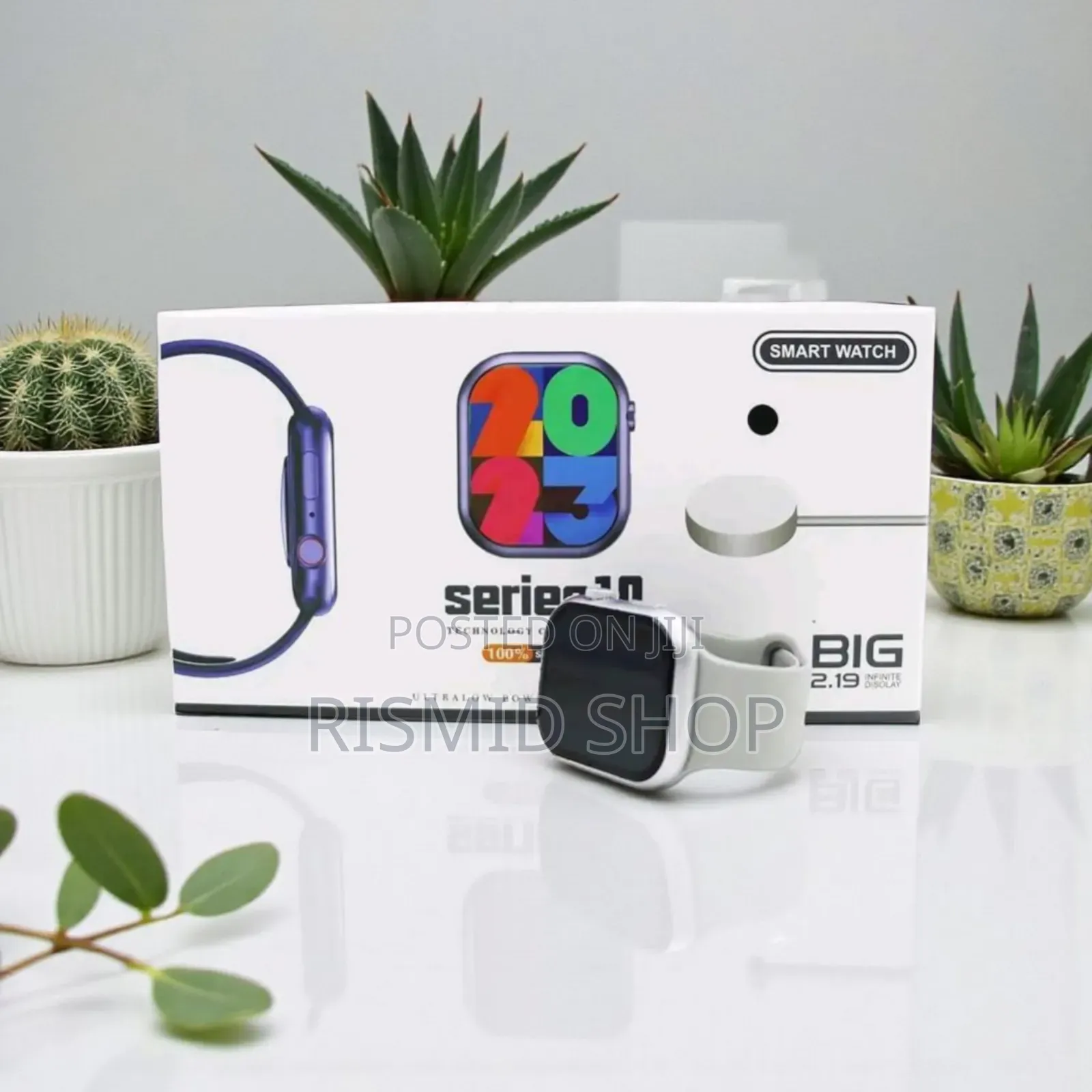 Series 10 Smartwatch (282289)