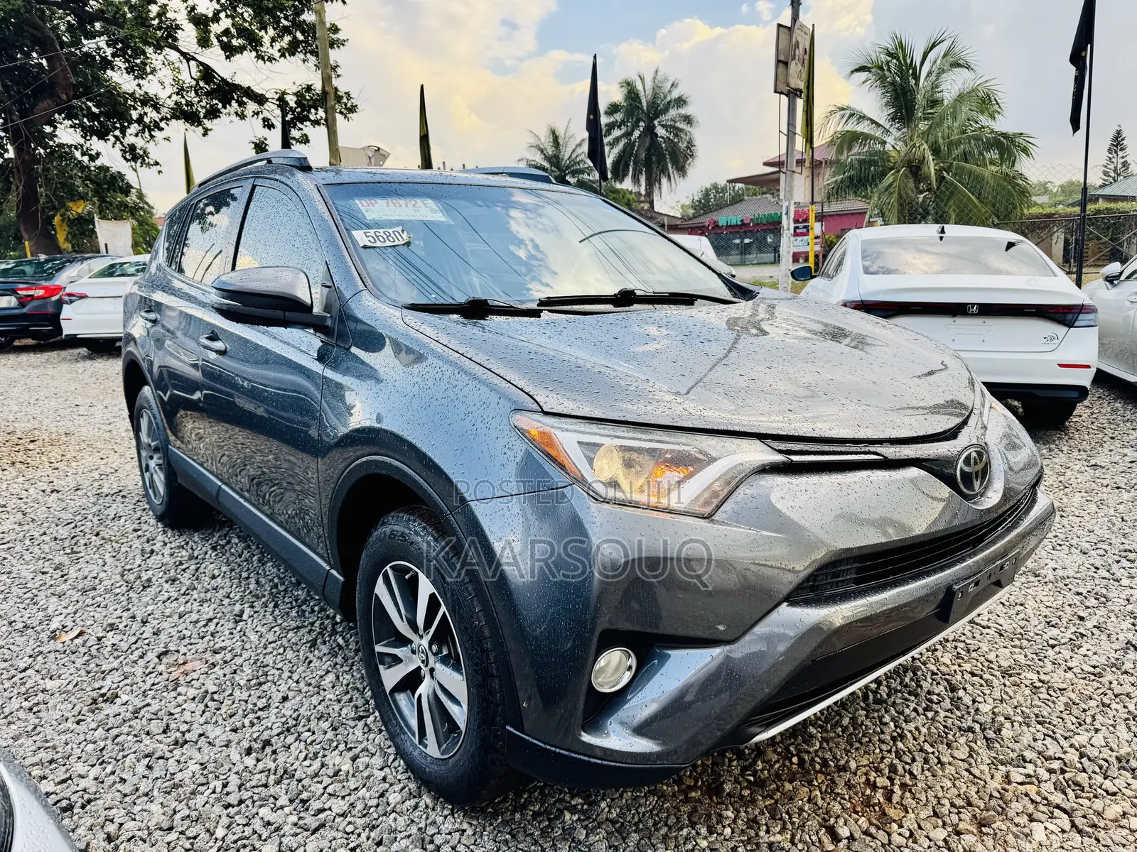 Toyota RAV4 XLE 4dr SUV AWD (2.5L 4cyl 6A) 2018 Gray