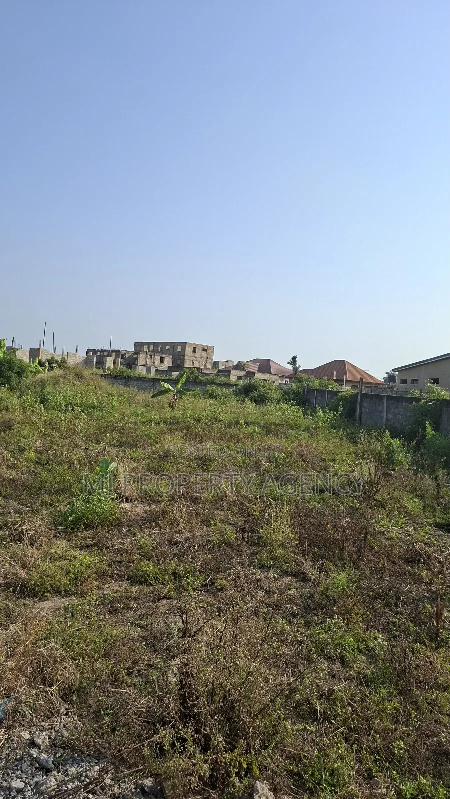 1 Plot at Community 25 Savanna Junction