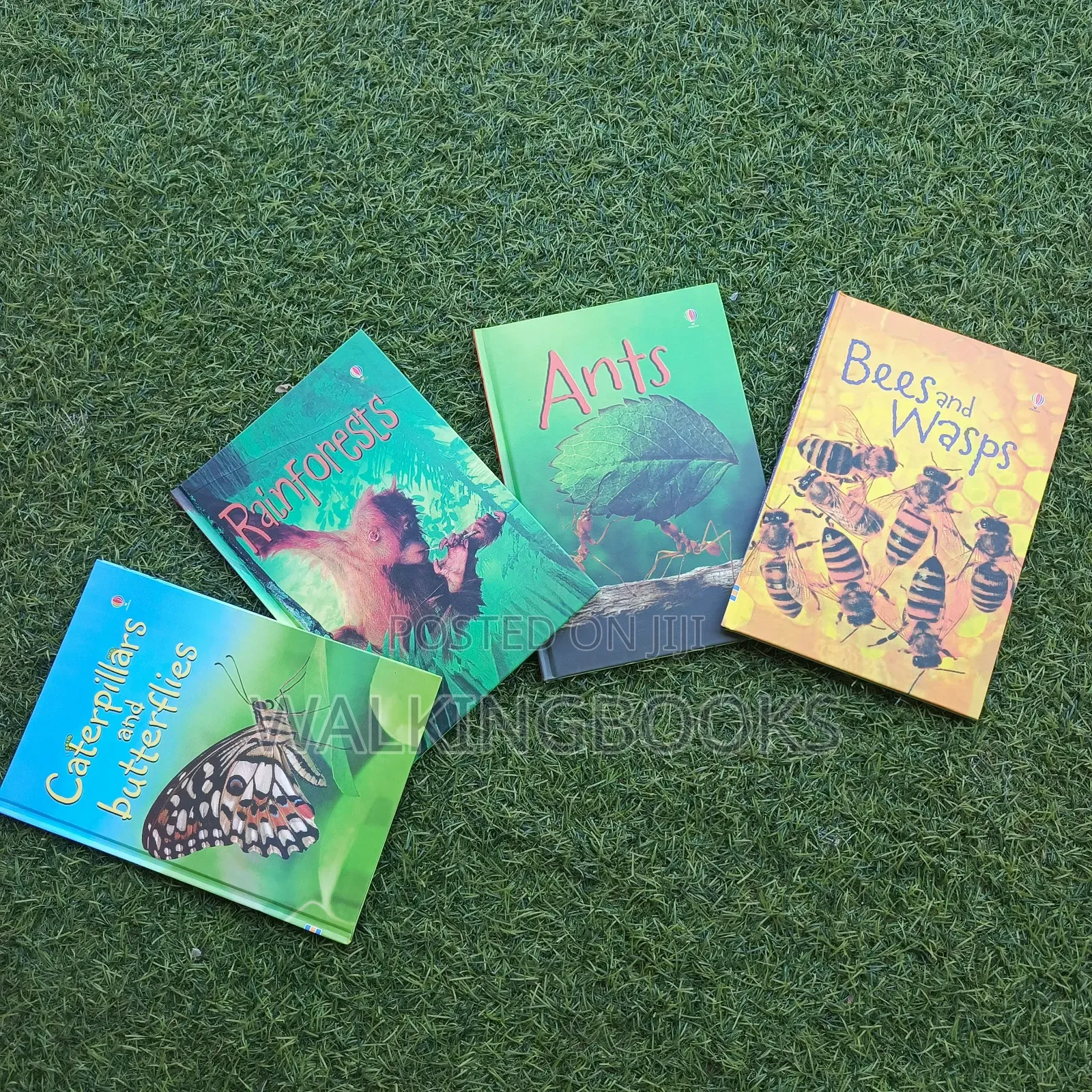 Usborne Beginners' Books On Nature