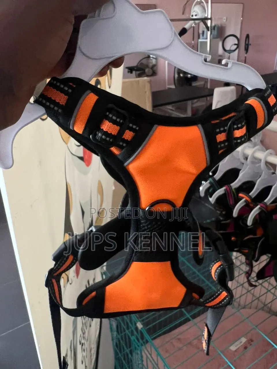 Dog Harness
