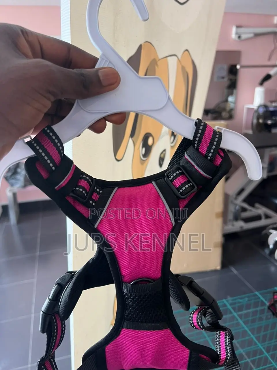 Dog Harness