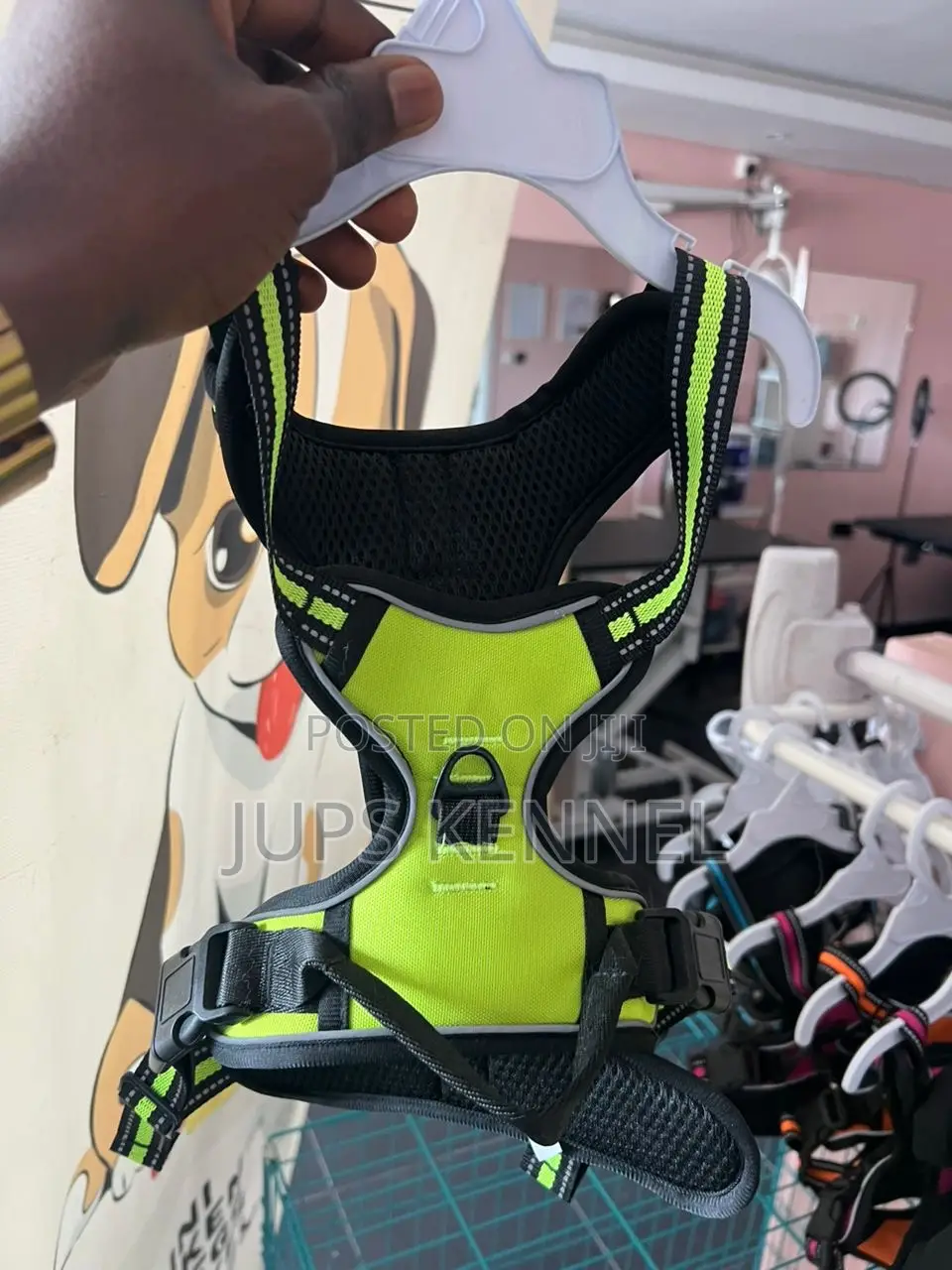 Dog Harness