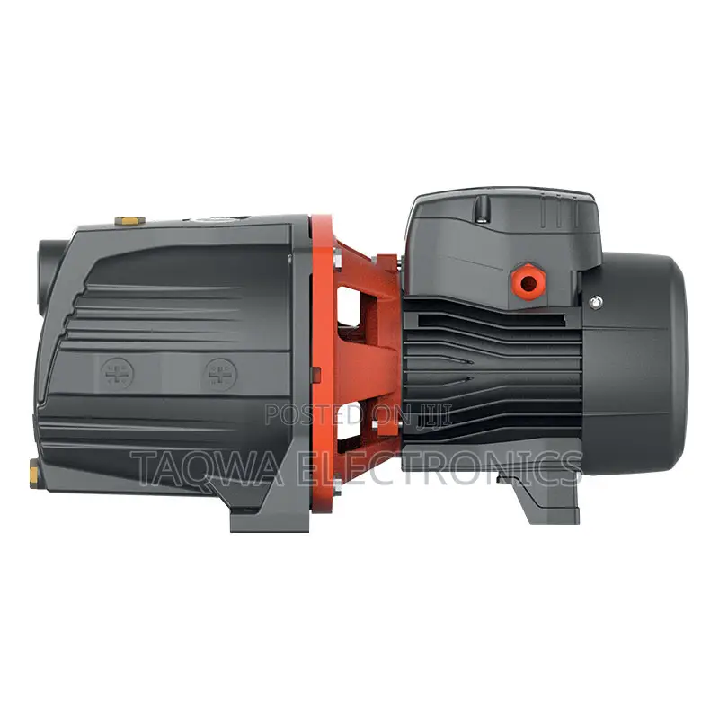 Perfect ~1hp Leo Ajm75 Cast Pump
