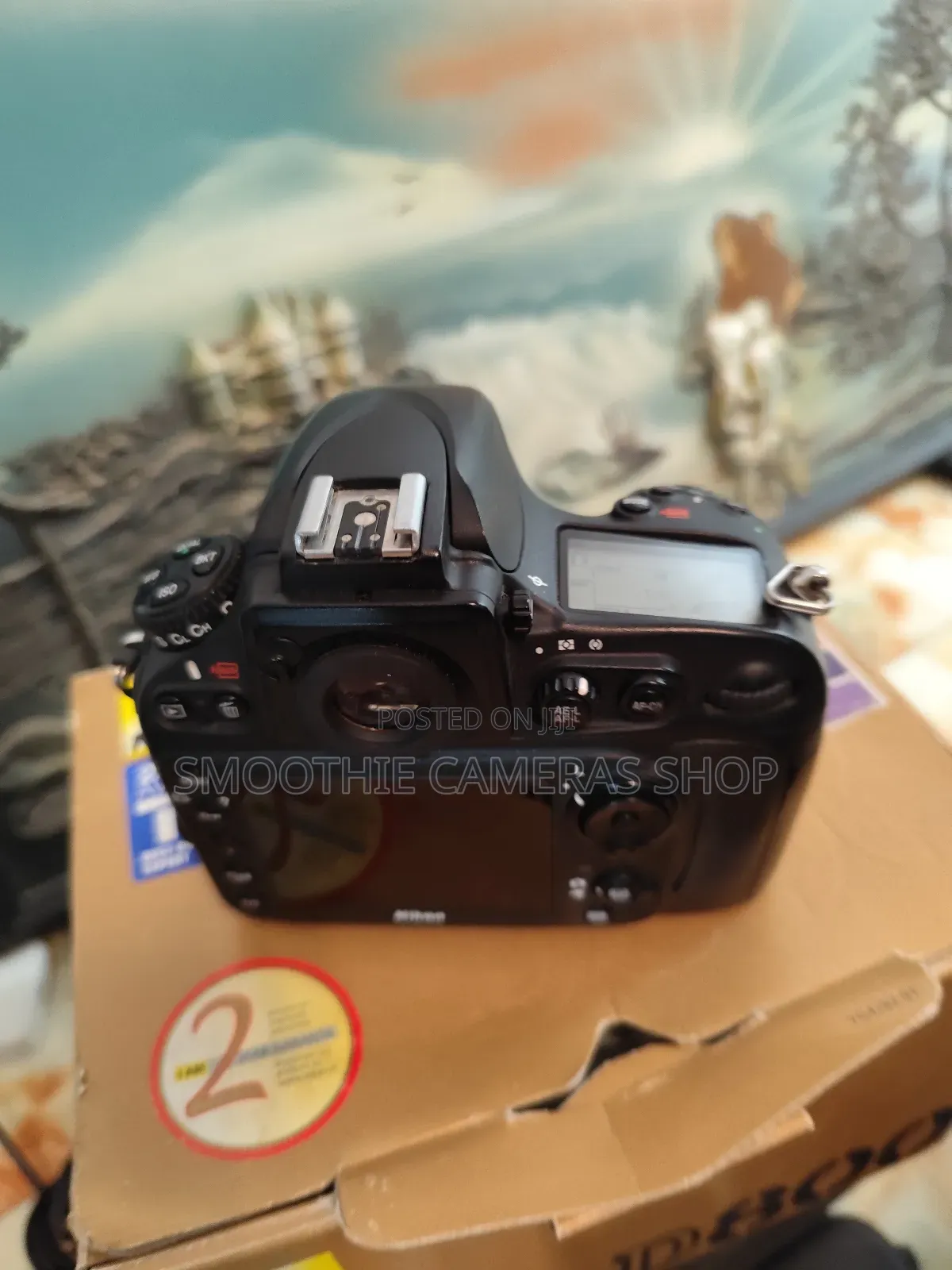 Googo Cameras and Lens From Native Canon and Nikon Company