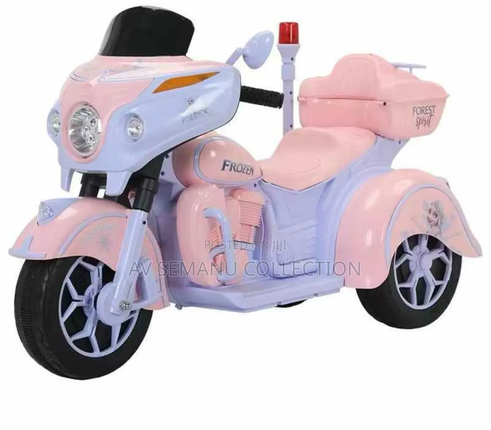 Disney Kids Ride on Bike