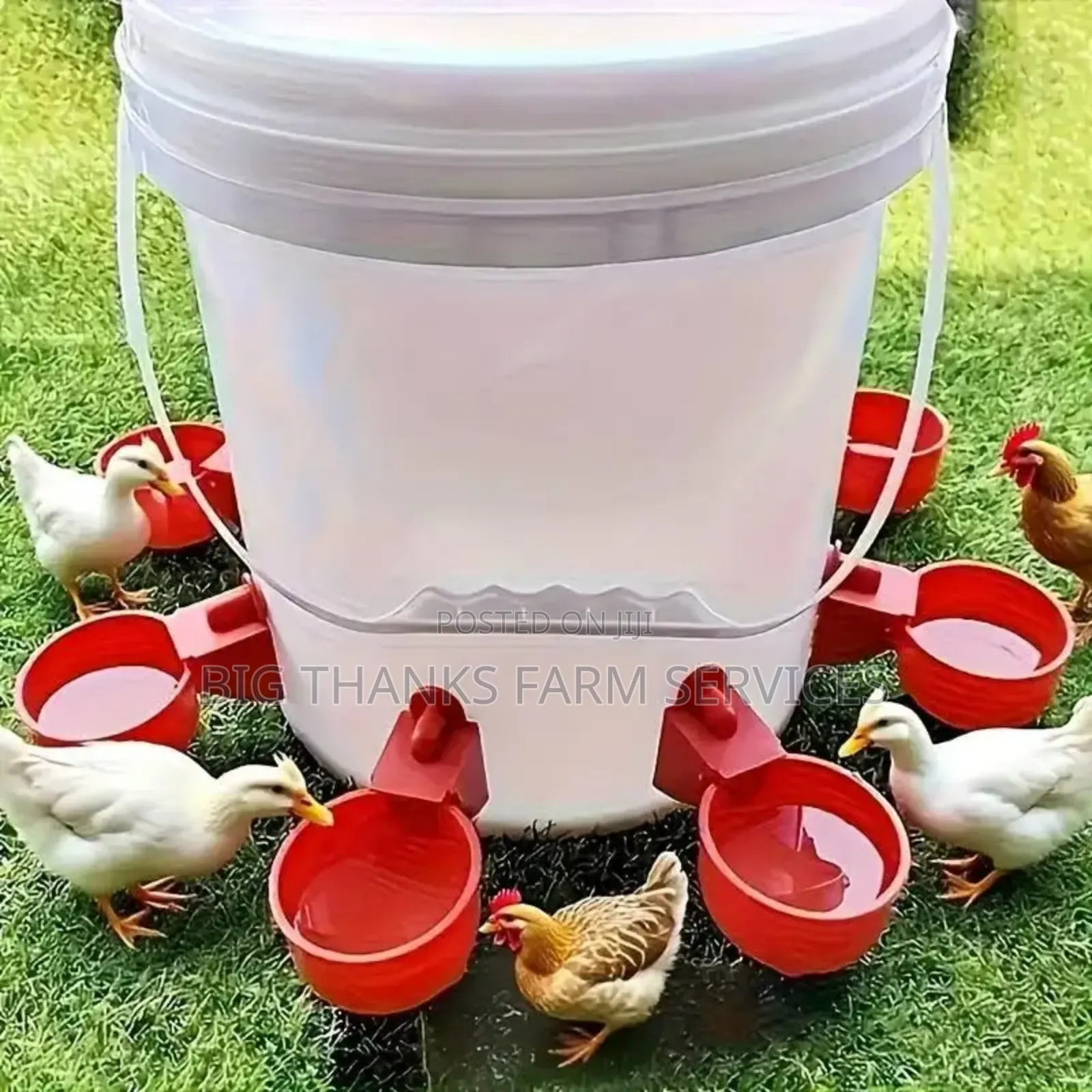 Poultry Automatic Nipples Drinkers