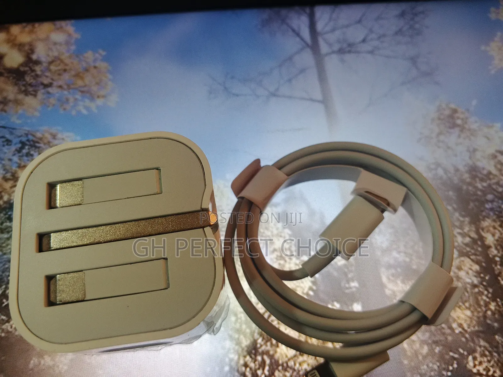 High-quality Type C iPhone Fast Charging 3-pin