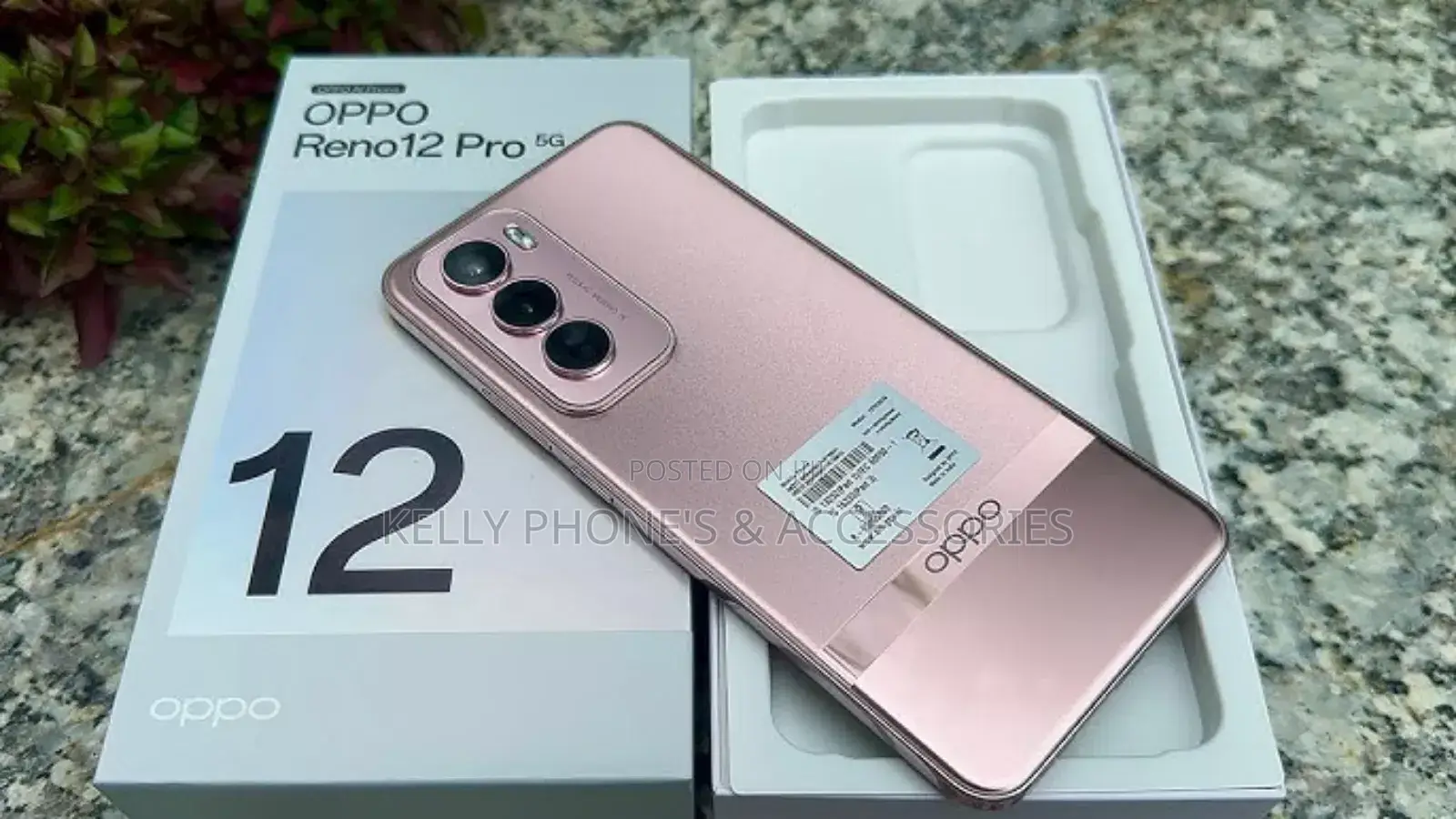 New Oppo Reno 12 5G 256 GB Silver