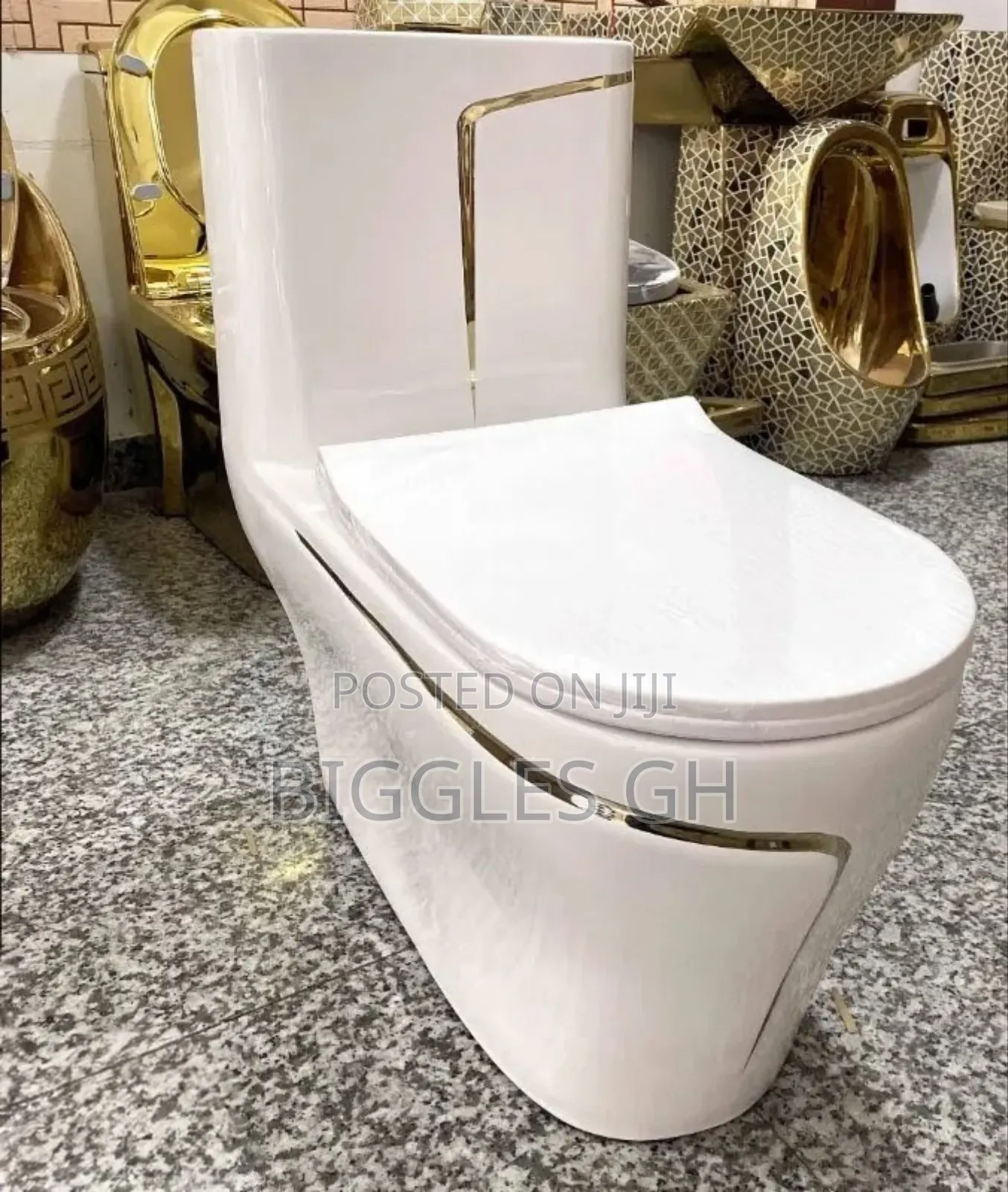 White and Gold Designed Wc