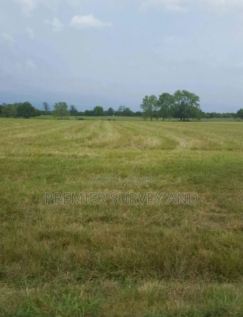 Expert in Land Survey