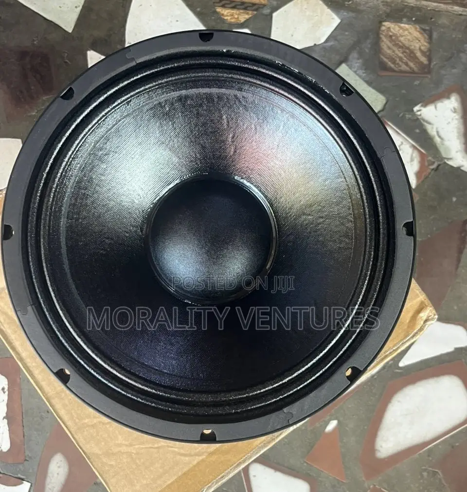 Ms12h 20g Professional Speaker