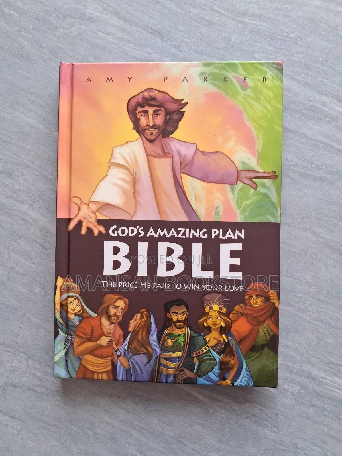 God's Amazing Plan Bible