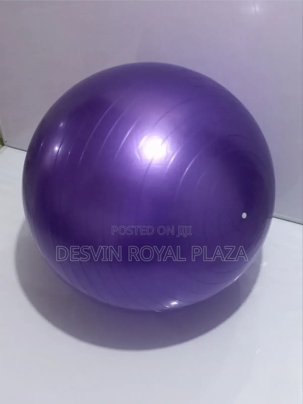 Gym Ball Exercise Ball