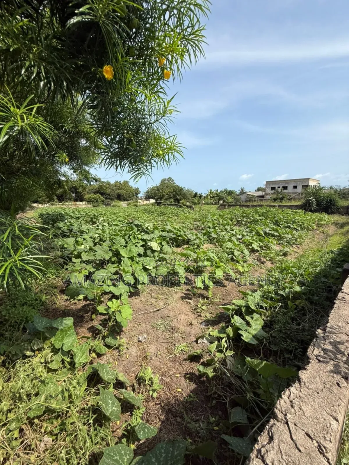 200 Acres of Prime Legon