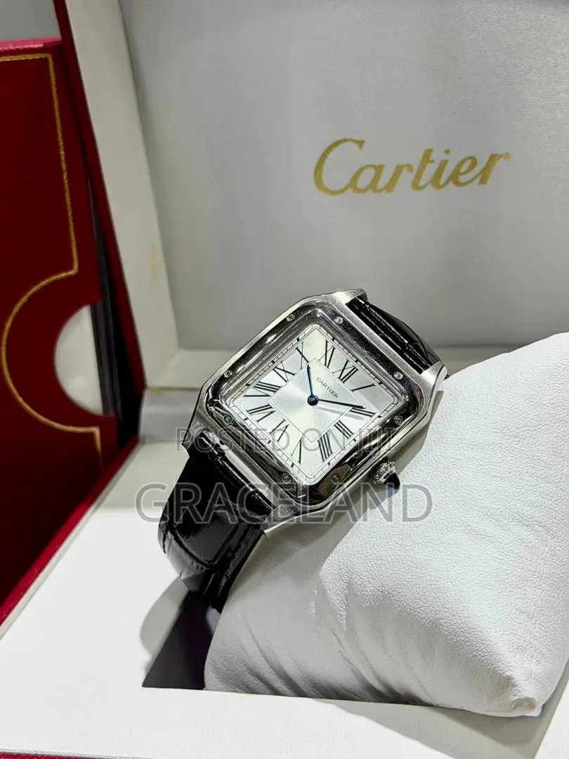 This Is Original Cartier Santos Dumont Watch