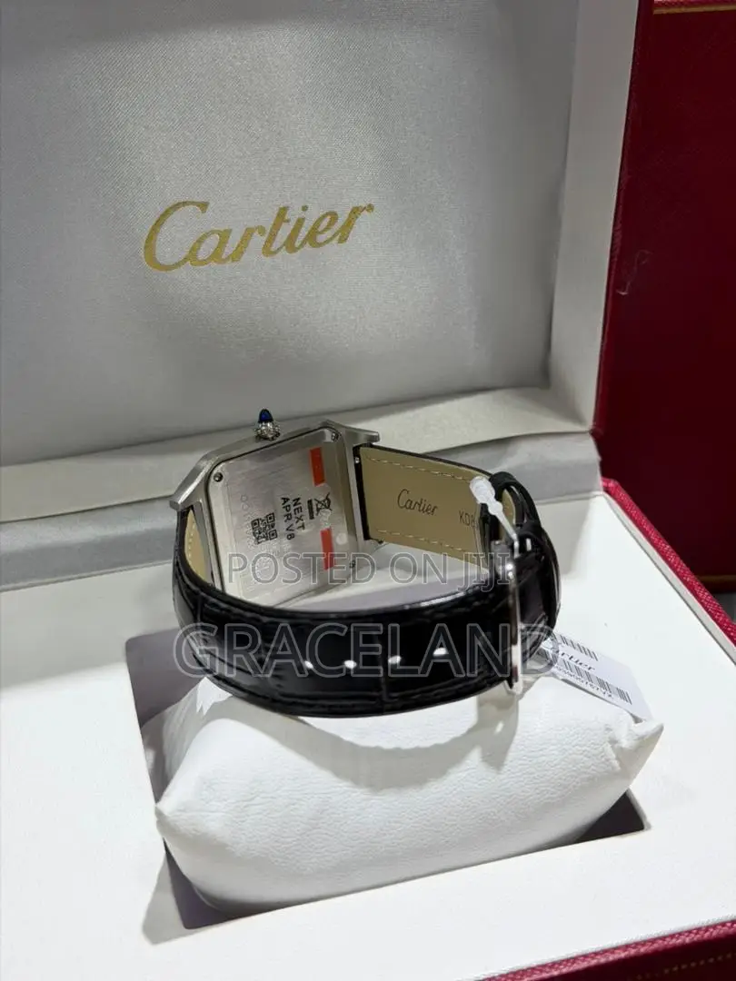 This Is Original Cartier Santos Dumont Watch