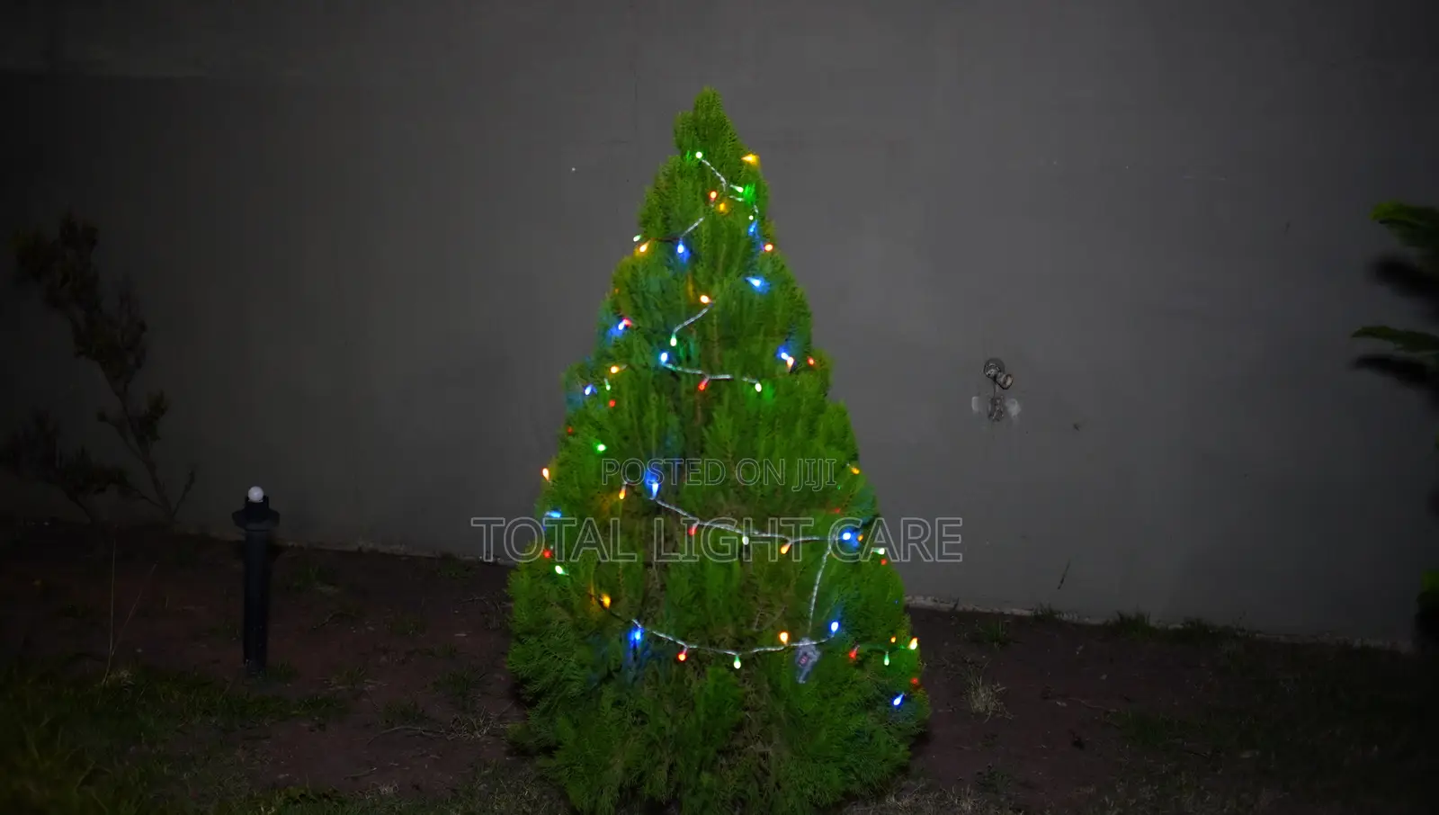 Battery Operated Fairy Light
