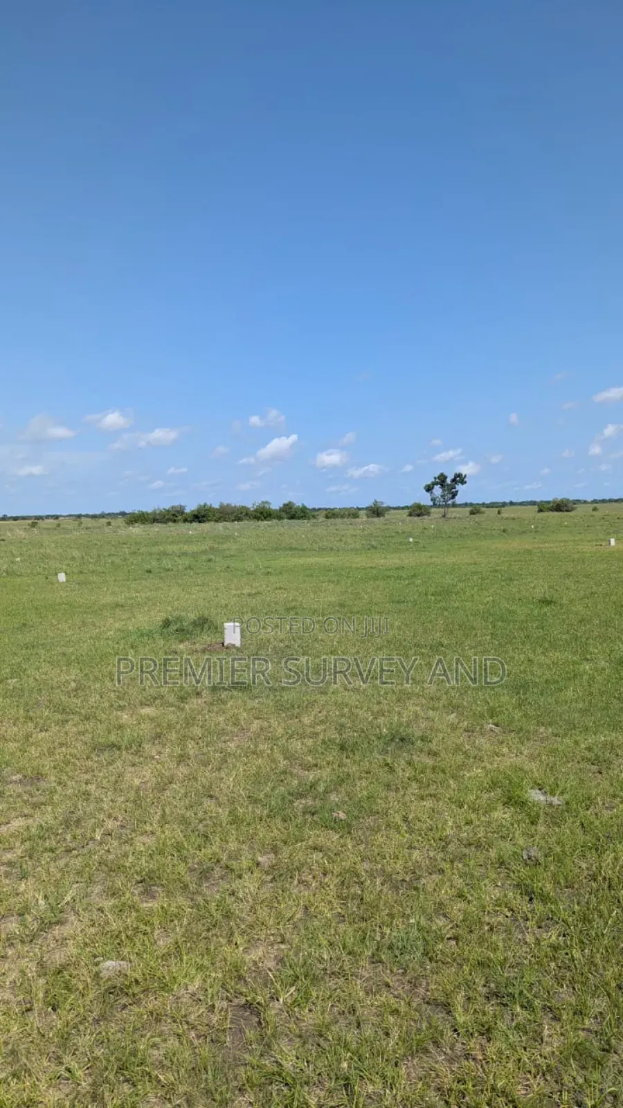 Expert in Surveying Services