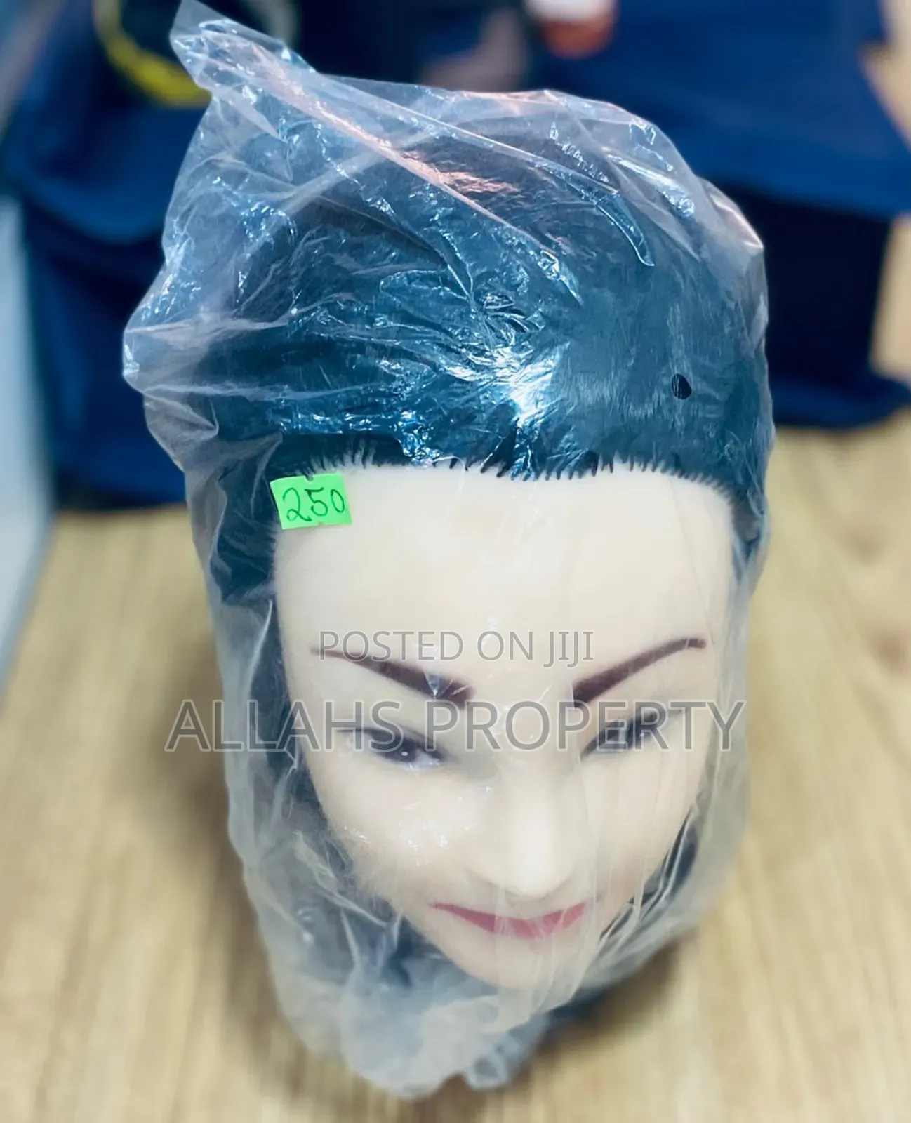 Human Manikin Doll
