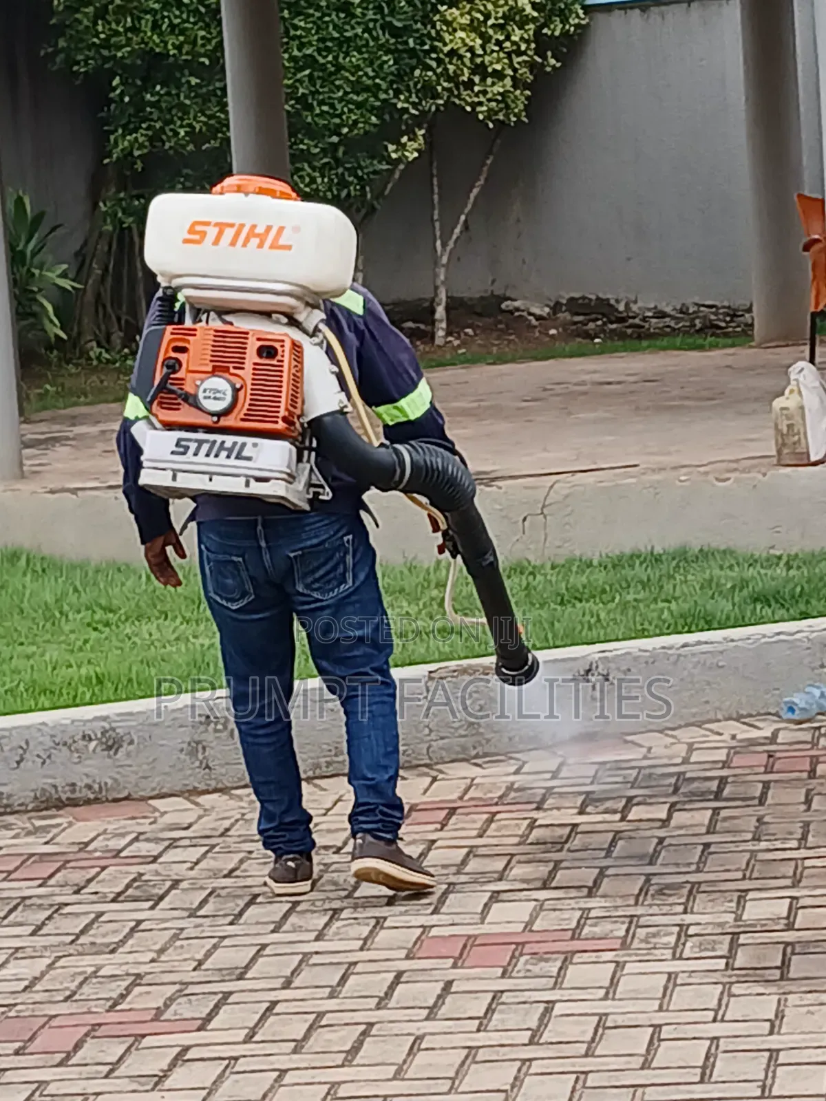 Bedbugs Fumigation