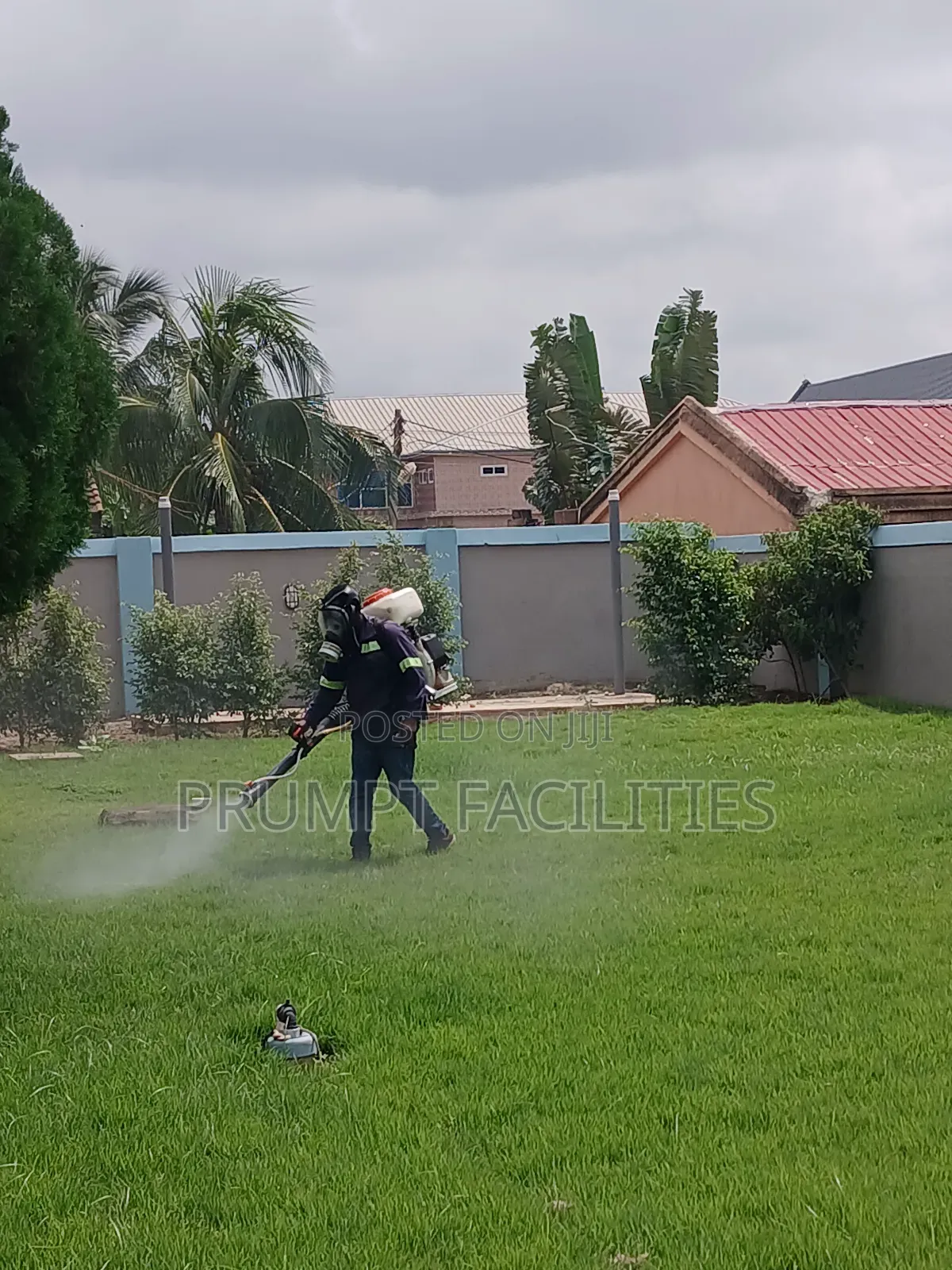 Bedbugs Fumigation