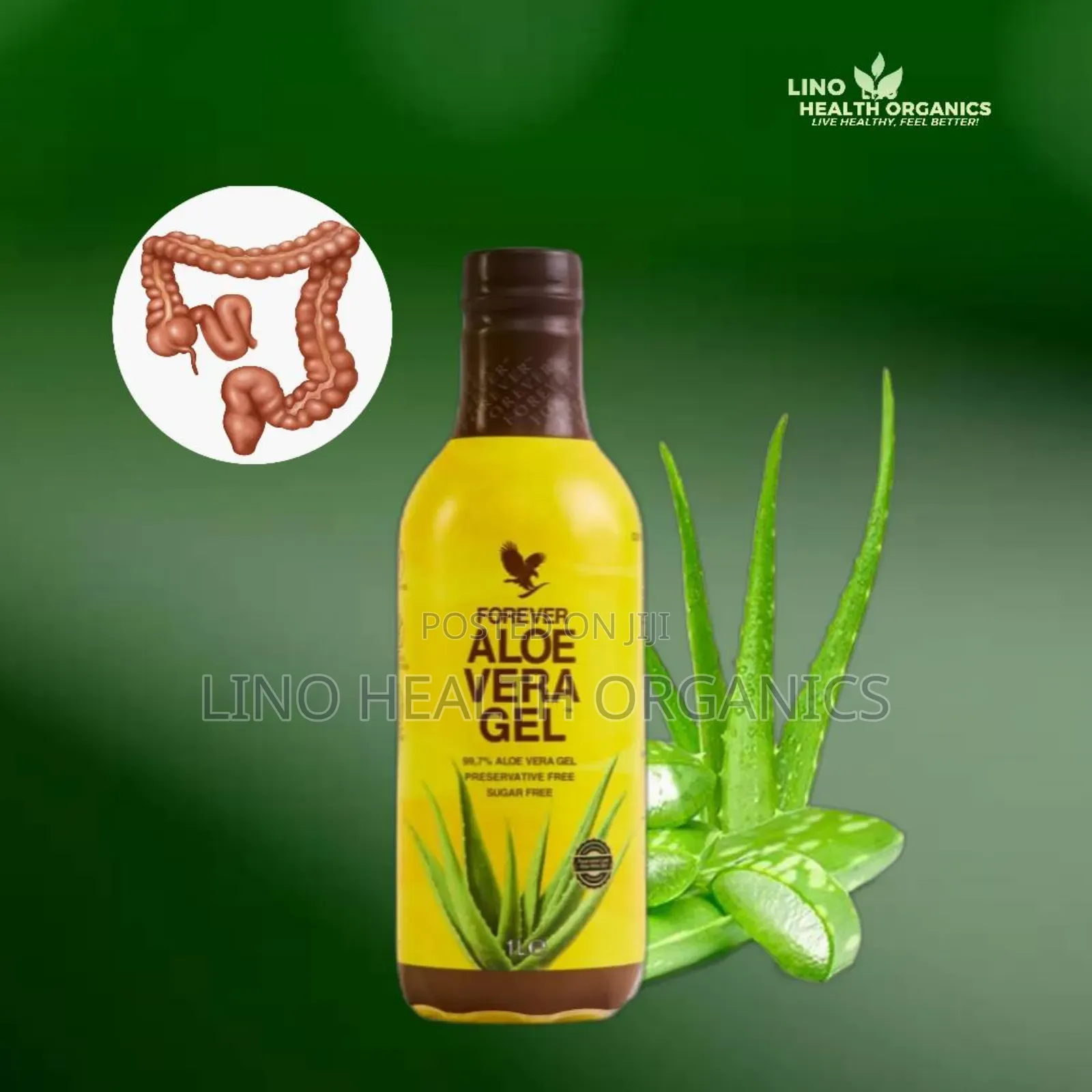 Colon and Full Body Detox Support | Aloe Vera Gel | All Natural | Flp.