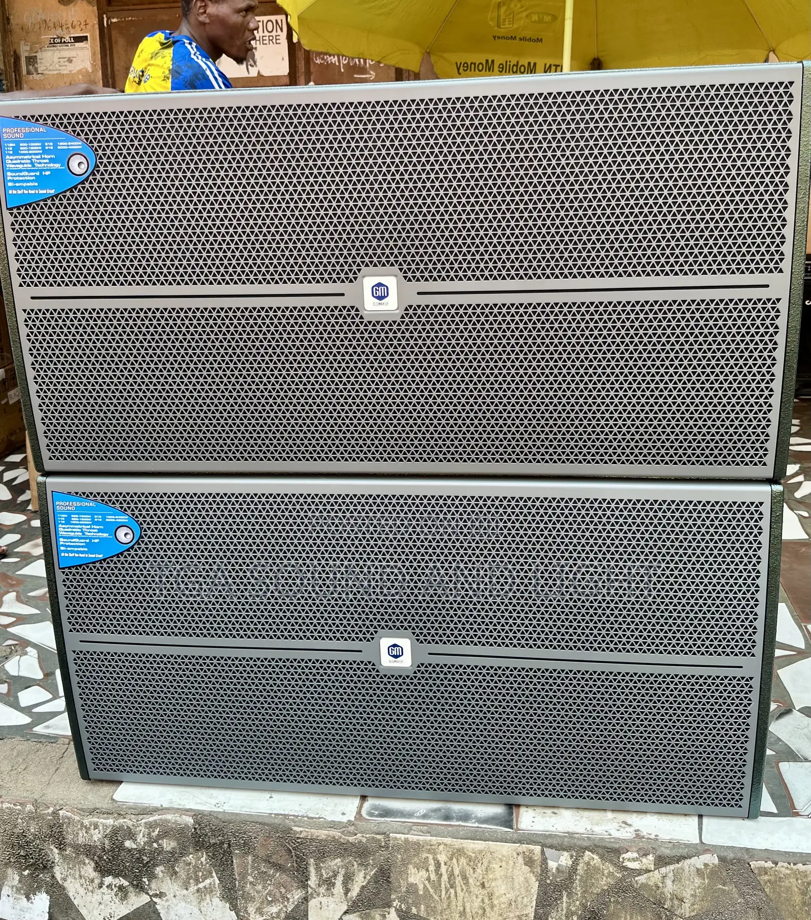 Gigmaker Dm218 Dual Bass Speakers