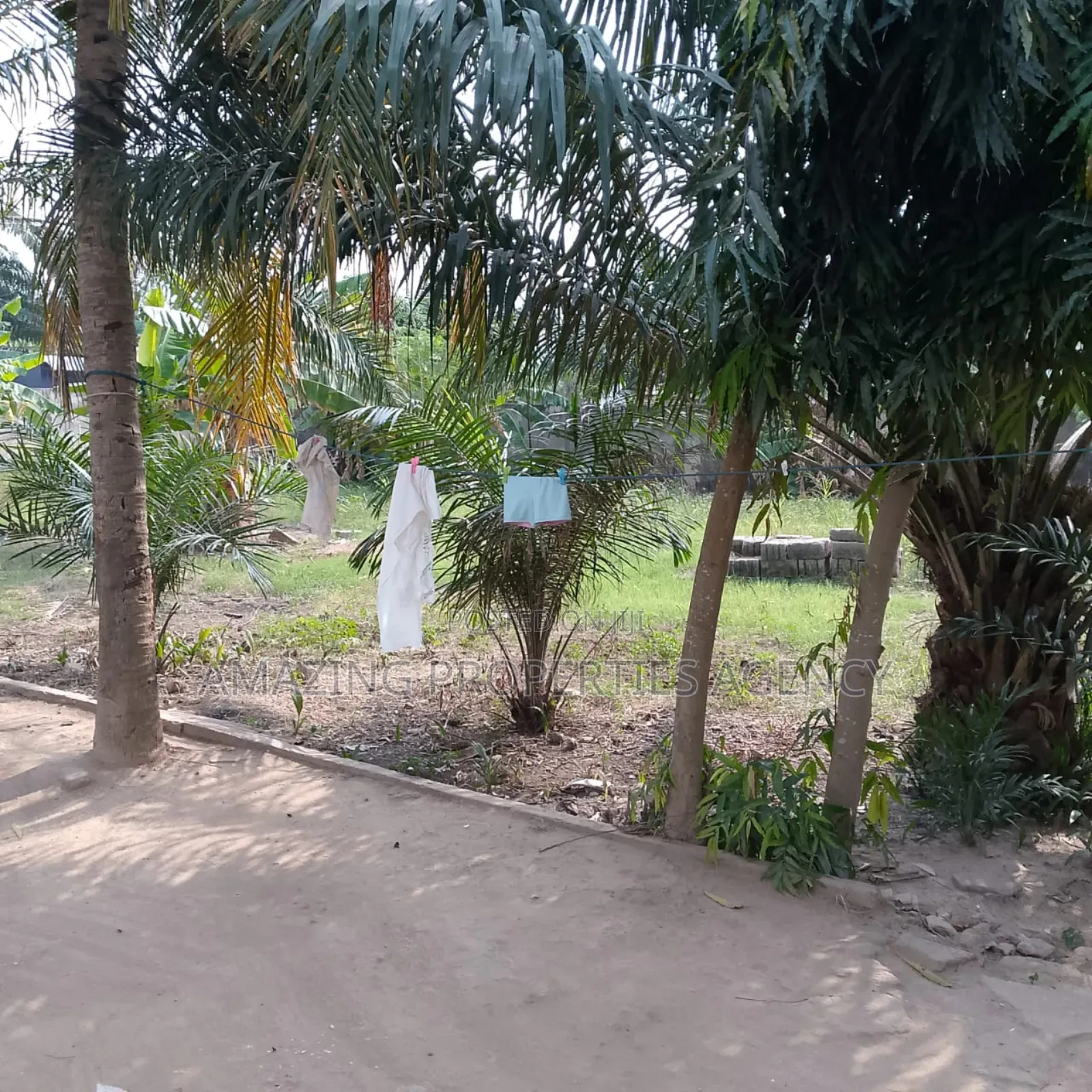0.83, of an Acre Land Along Avenor to Circle Main Road F