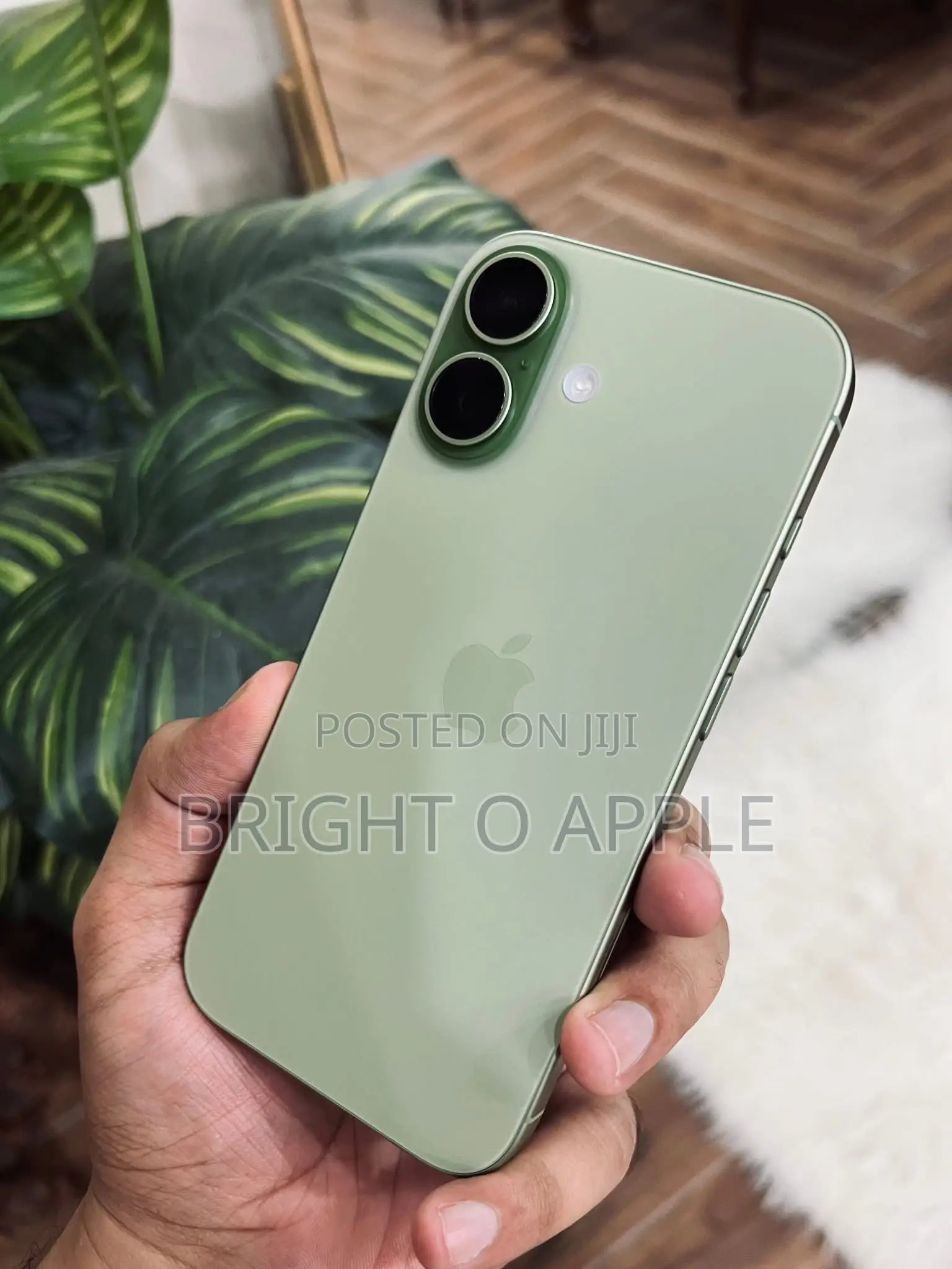New Apple iPhone 17 256 GB Green