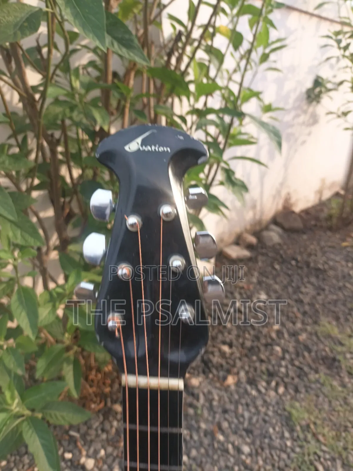 Ovation 08371 Customized Acoustic Guitar