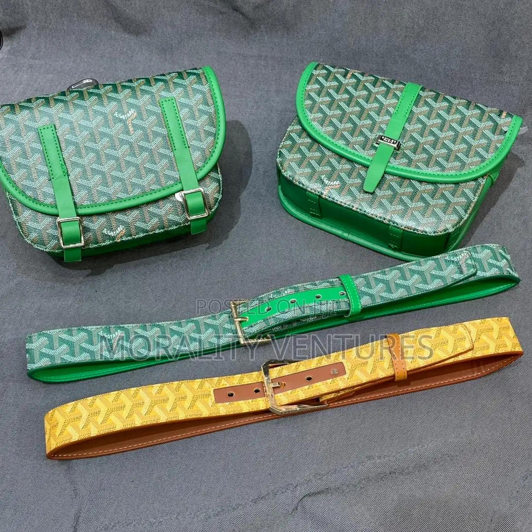 Goyard Side Bag and Belt