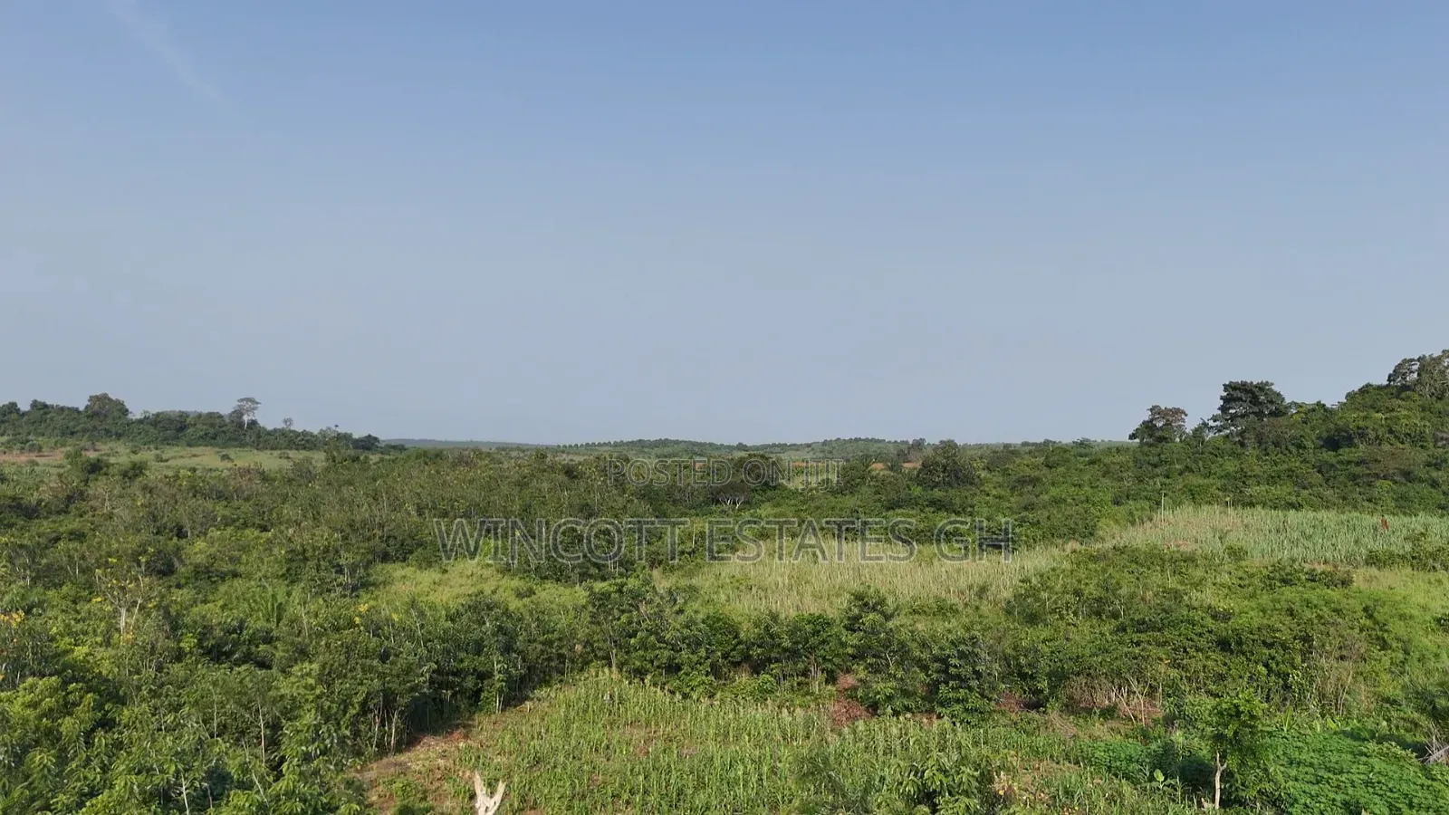 Farmland Winneba Swedru Rd