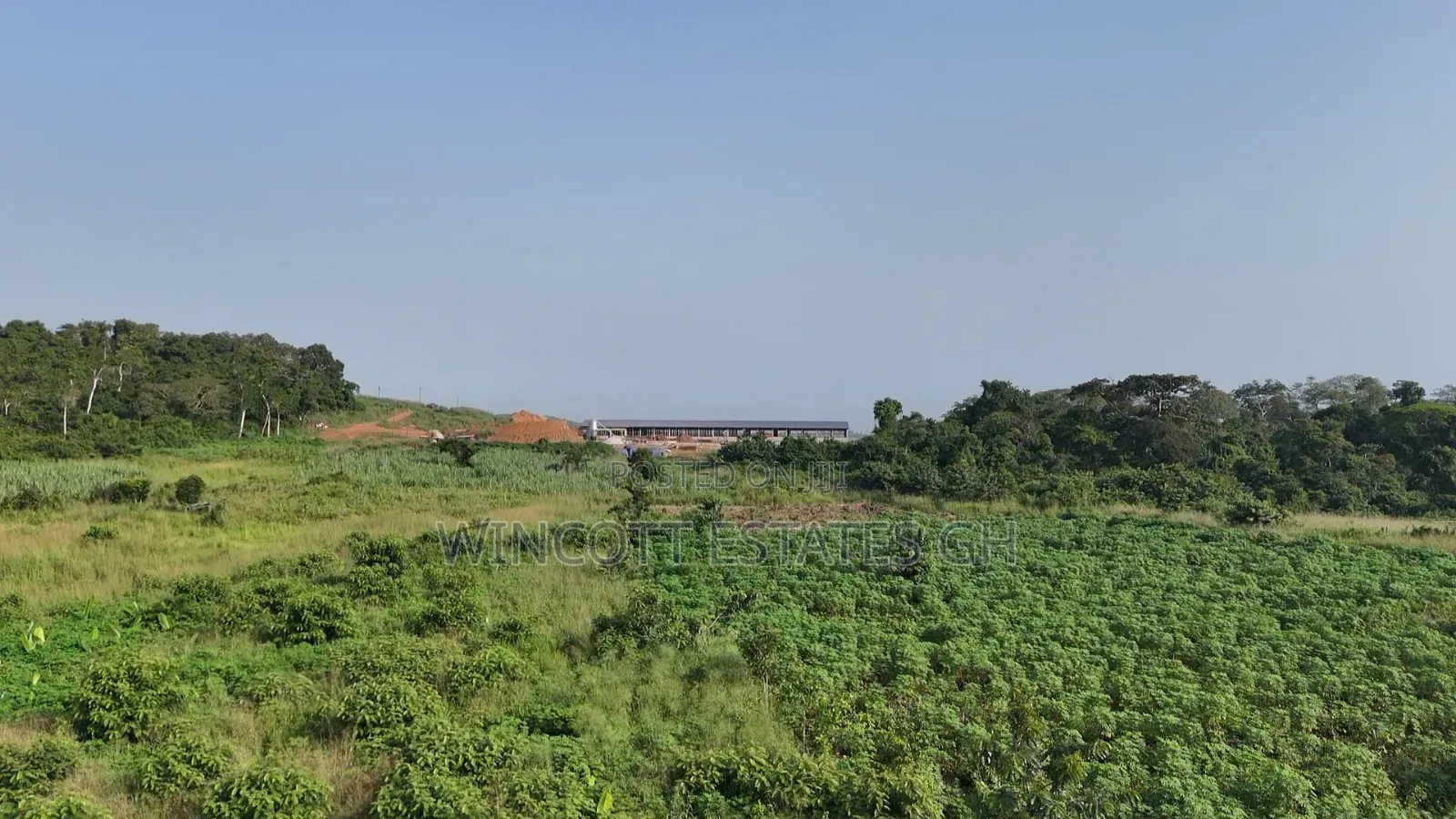 Farmland Winneba Swedru Rd