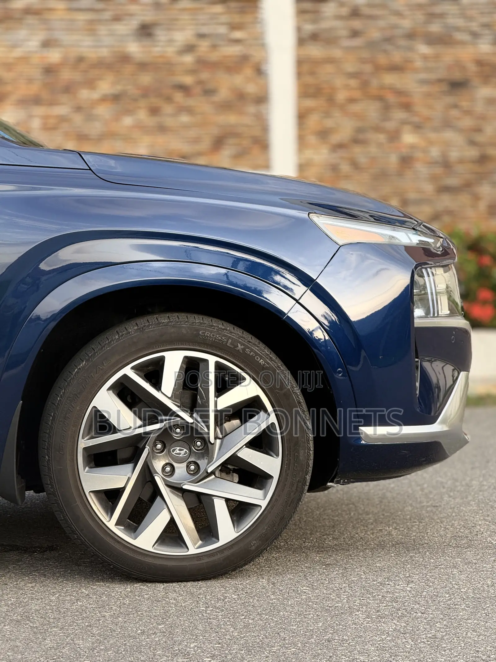 Hyundai Santa Fe Calligraphy 2023 Blue
