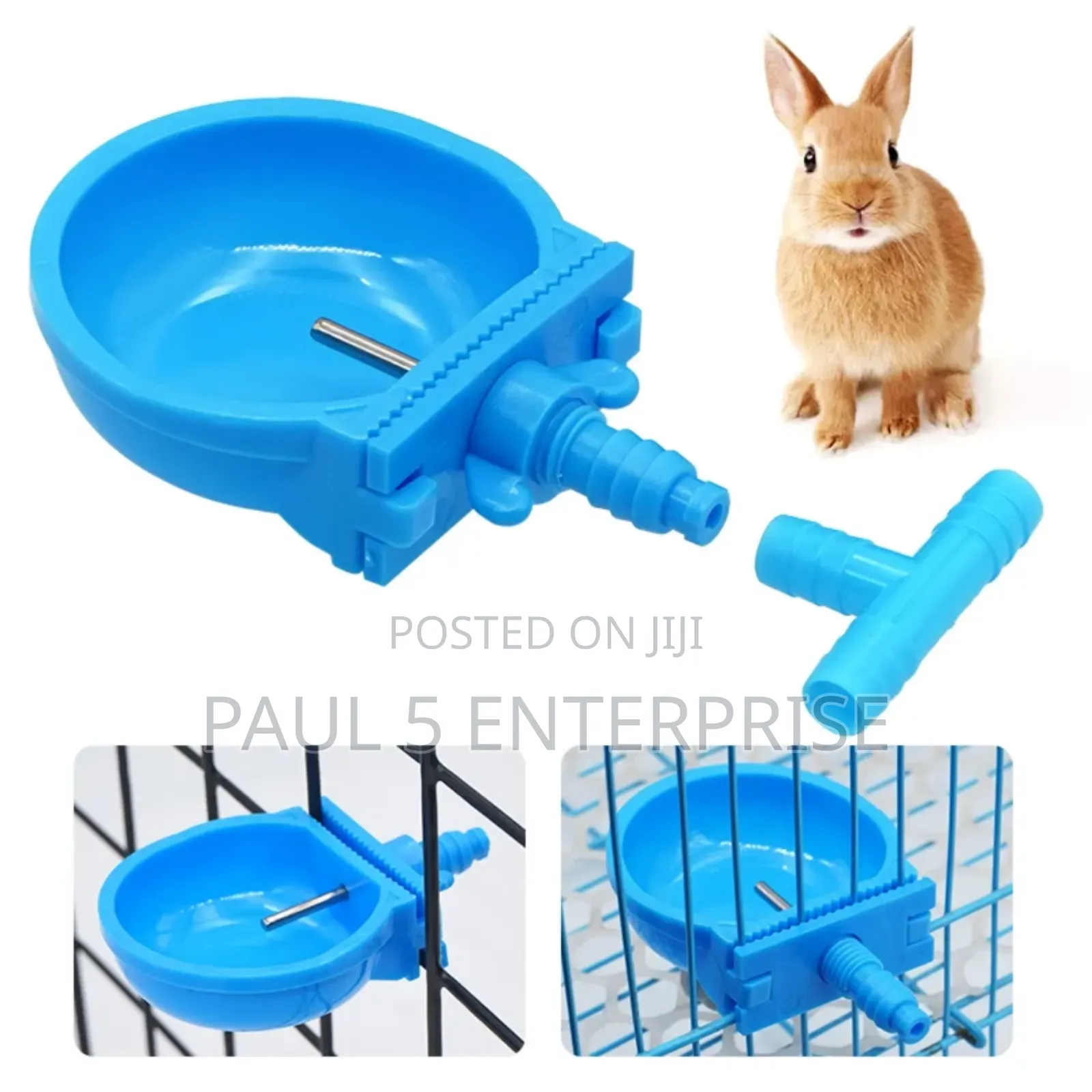 Wholesale and Retail Rabbit Drinking Cup