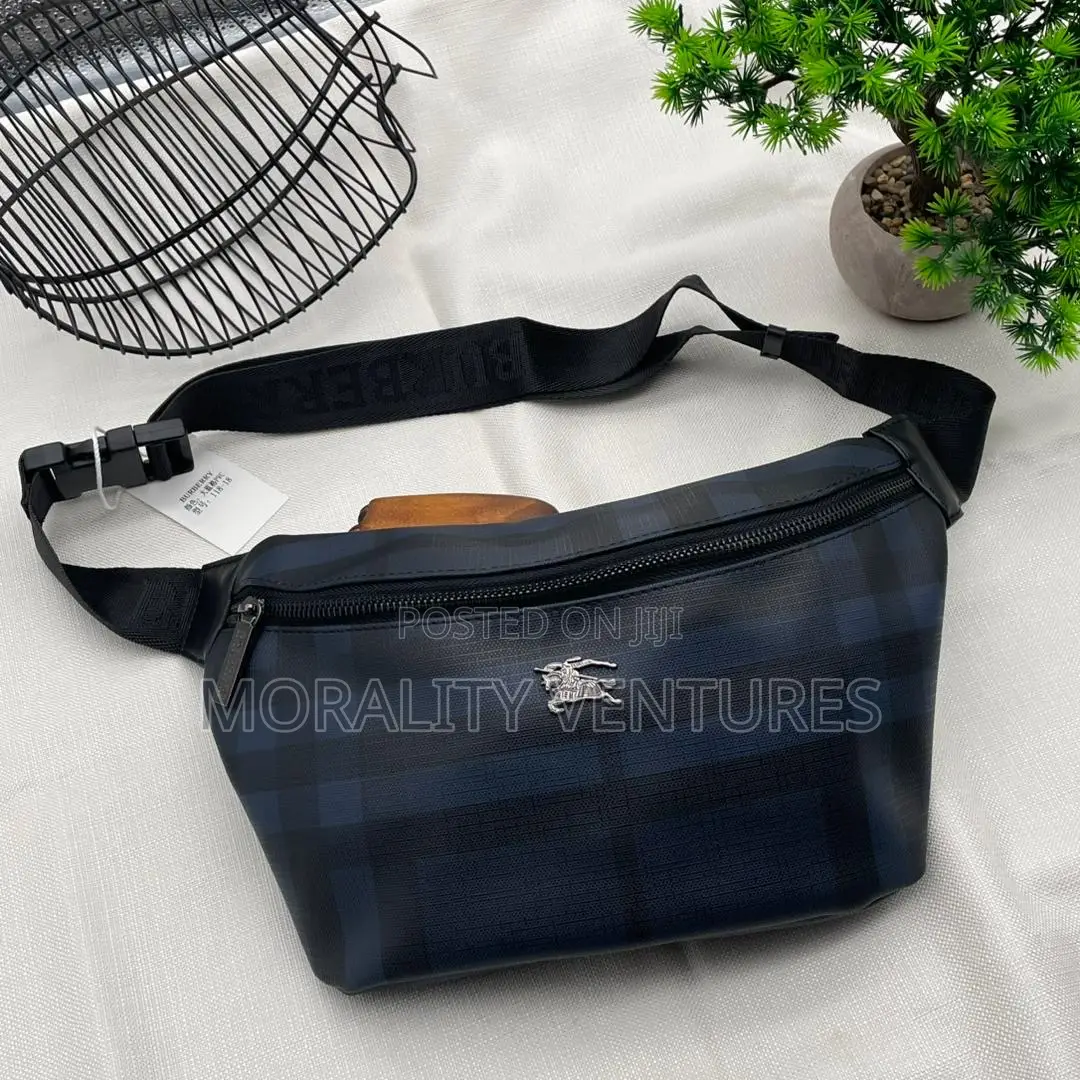 Gucci Louis Vuitton Belt Bags